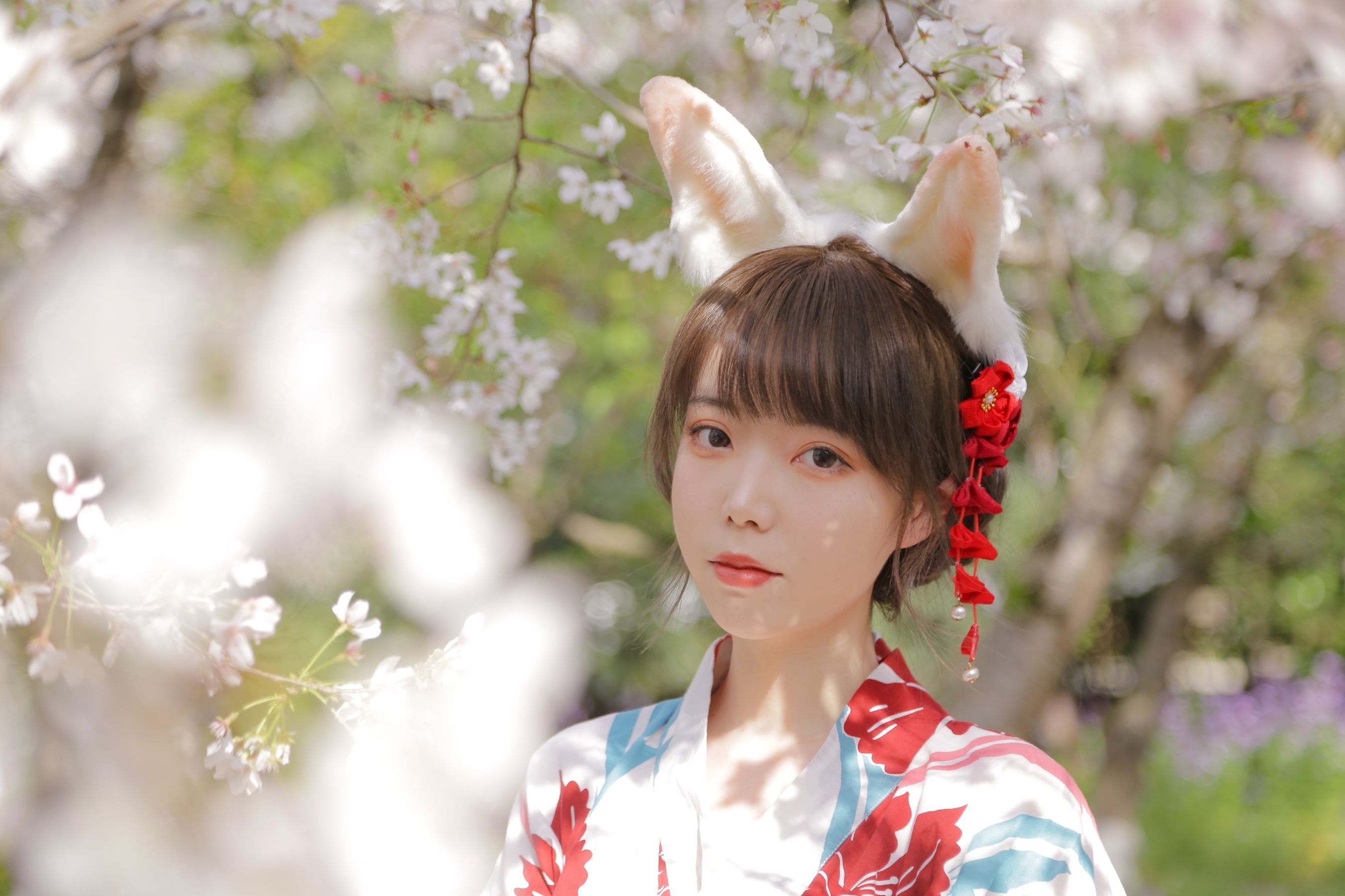 可爱妹子Fushii_海堂 - 樱花兔兔-图19
