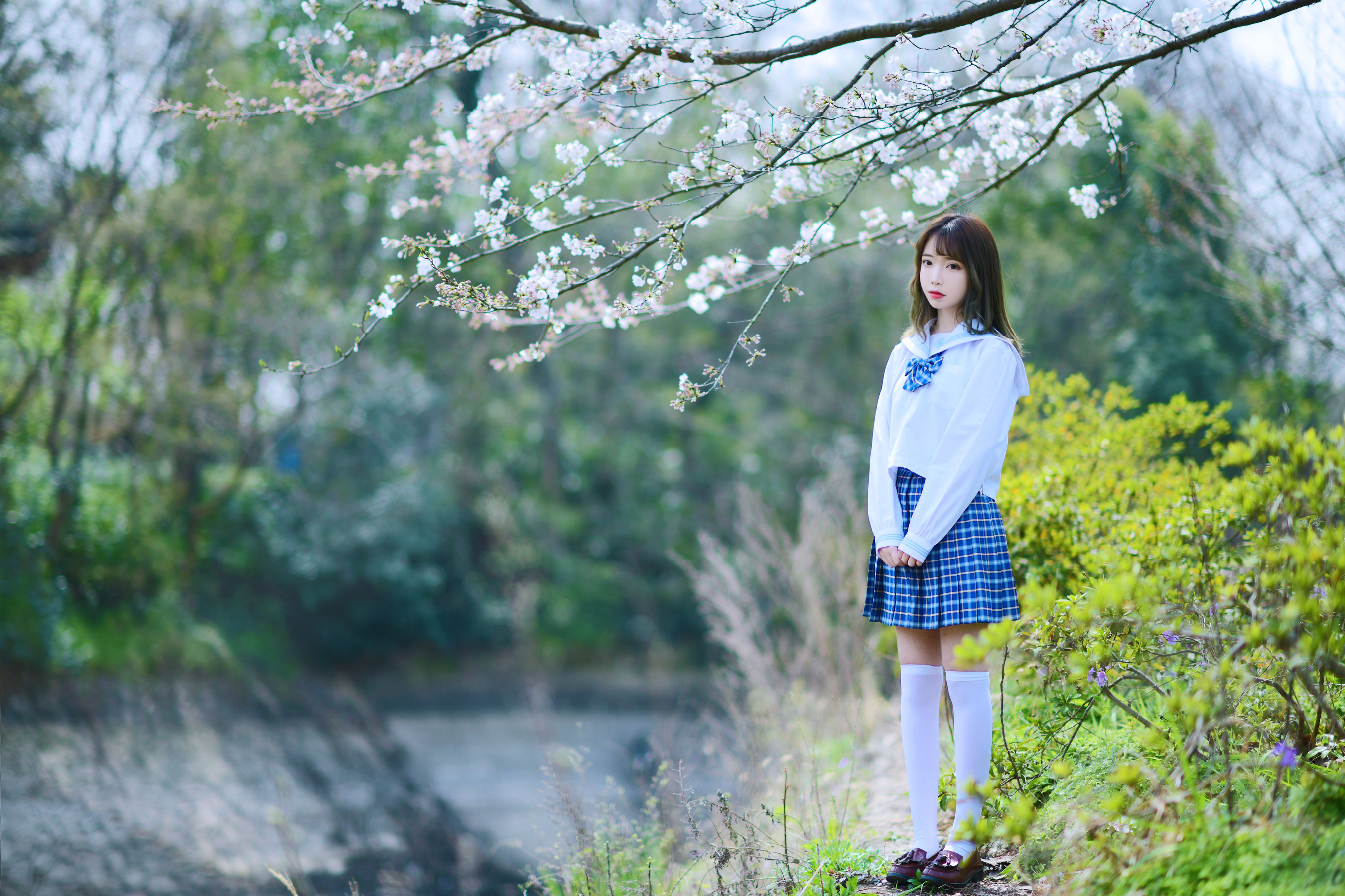 可爱妹子Fushii_海堂 - 樱花树下-图10