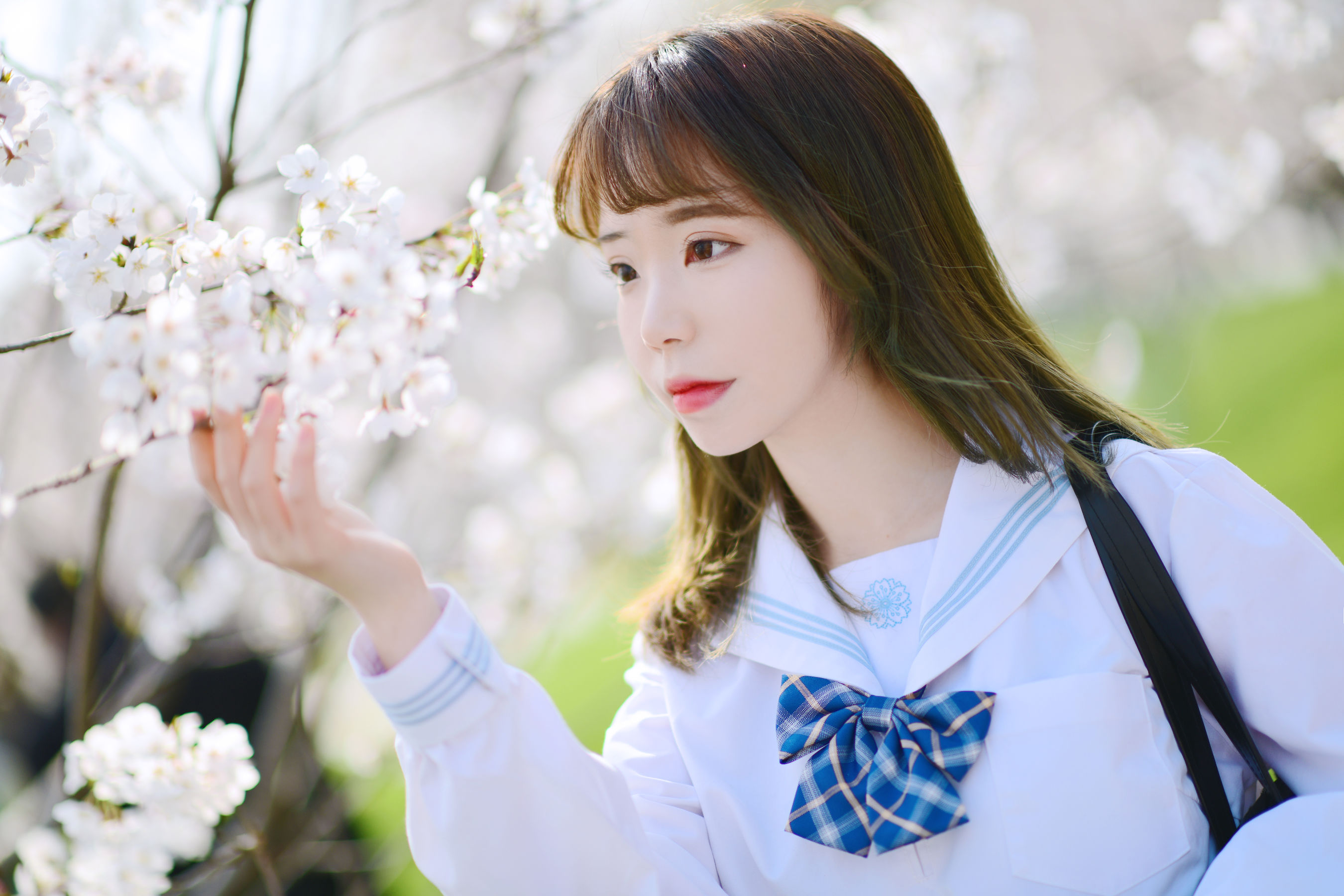 可爱妹子Fushii_海堂 - 樱花树下-图13