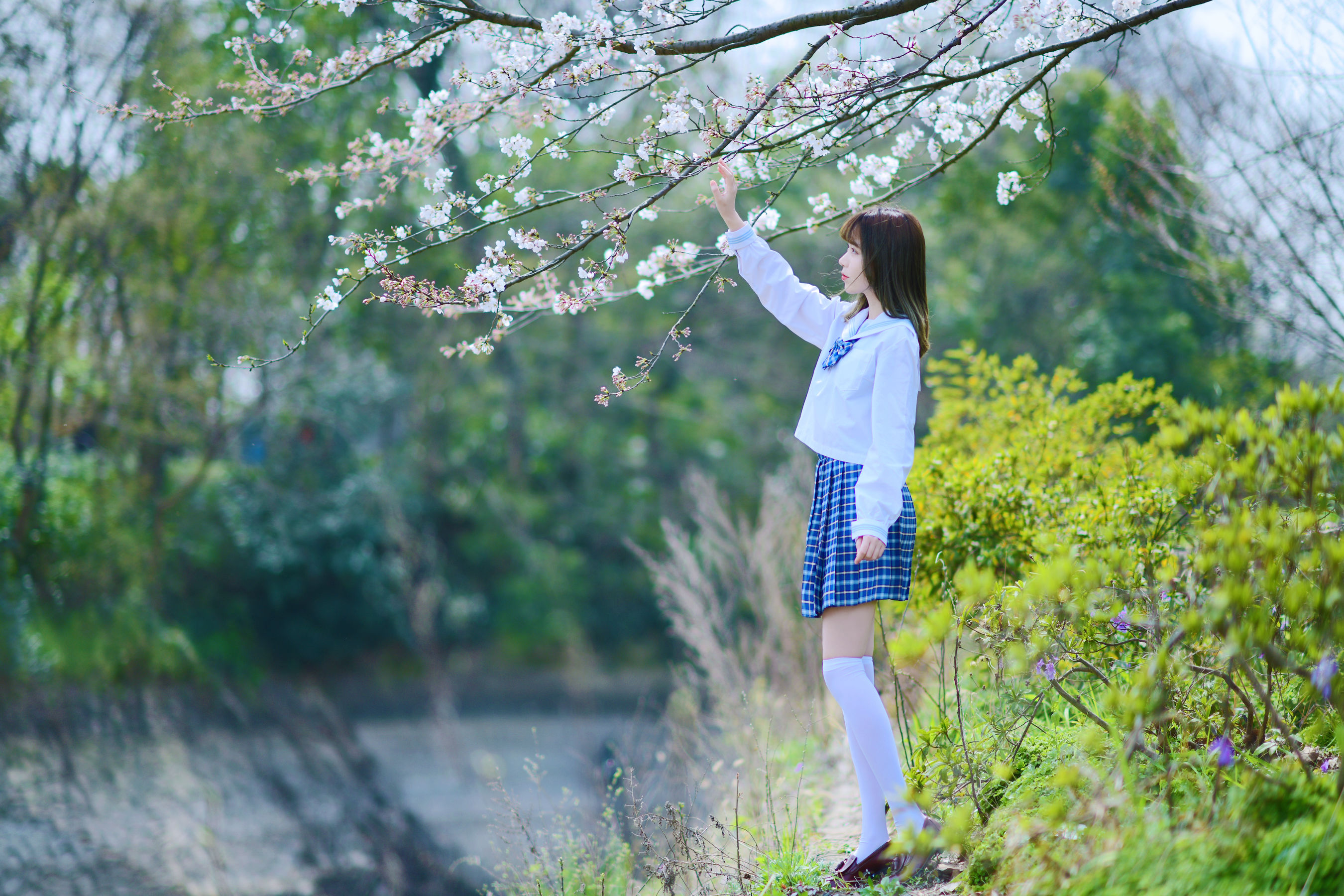 可爱妹子Fushii_海堂 - 樱花树下-图15