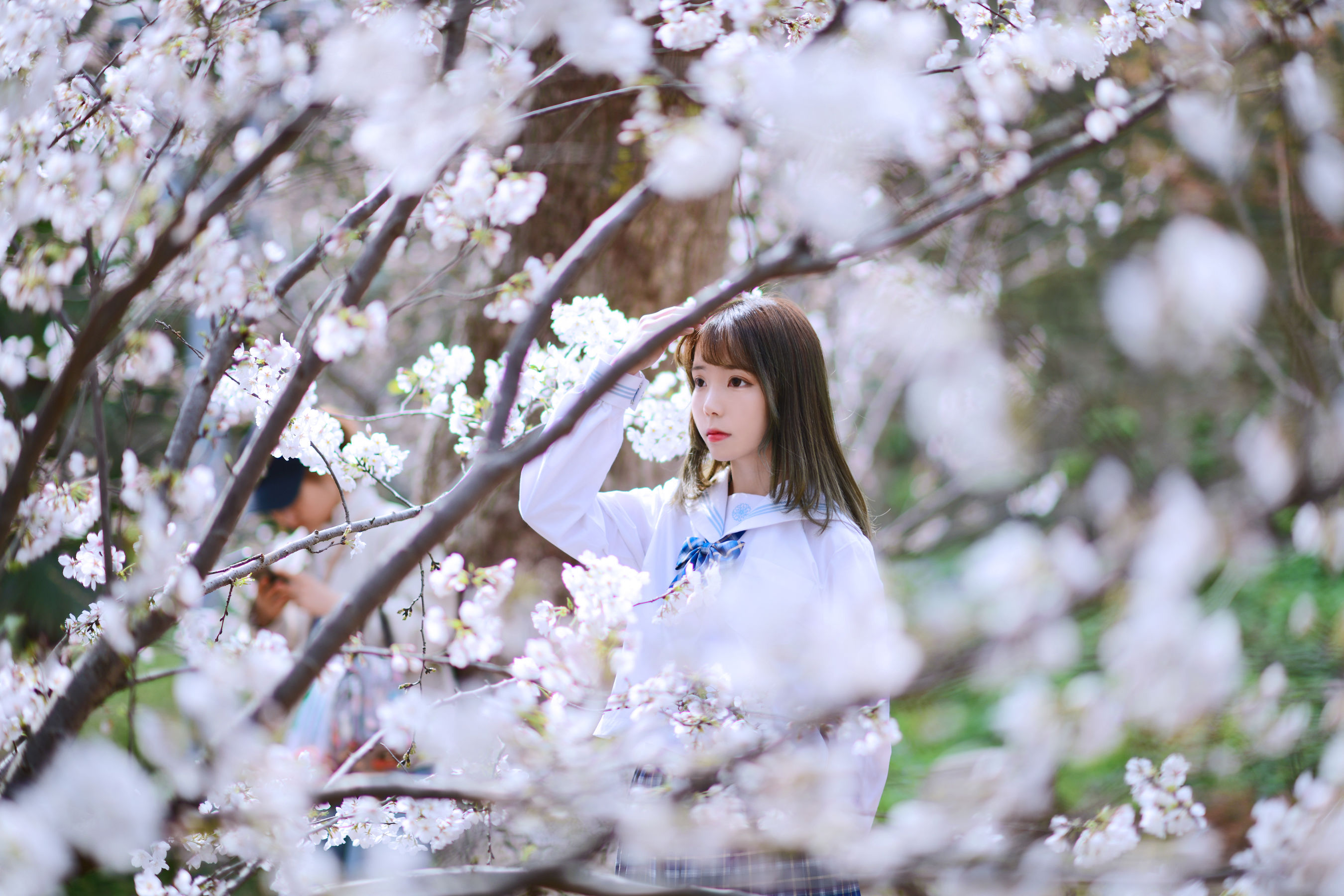 可爱妹子Fushii_海堂 - 樱花树下-图16