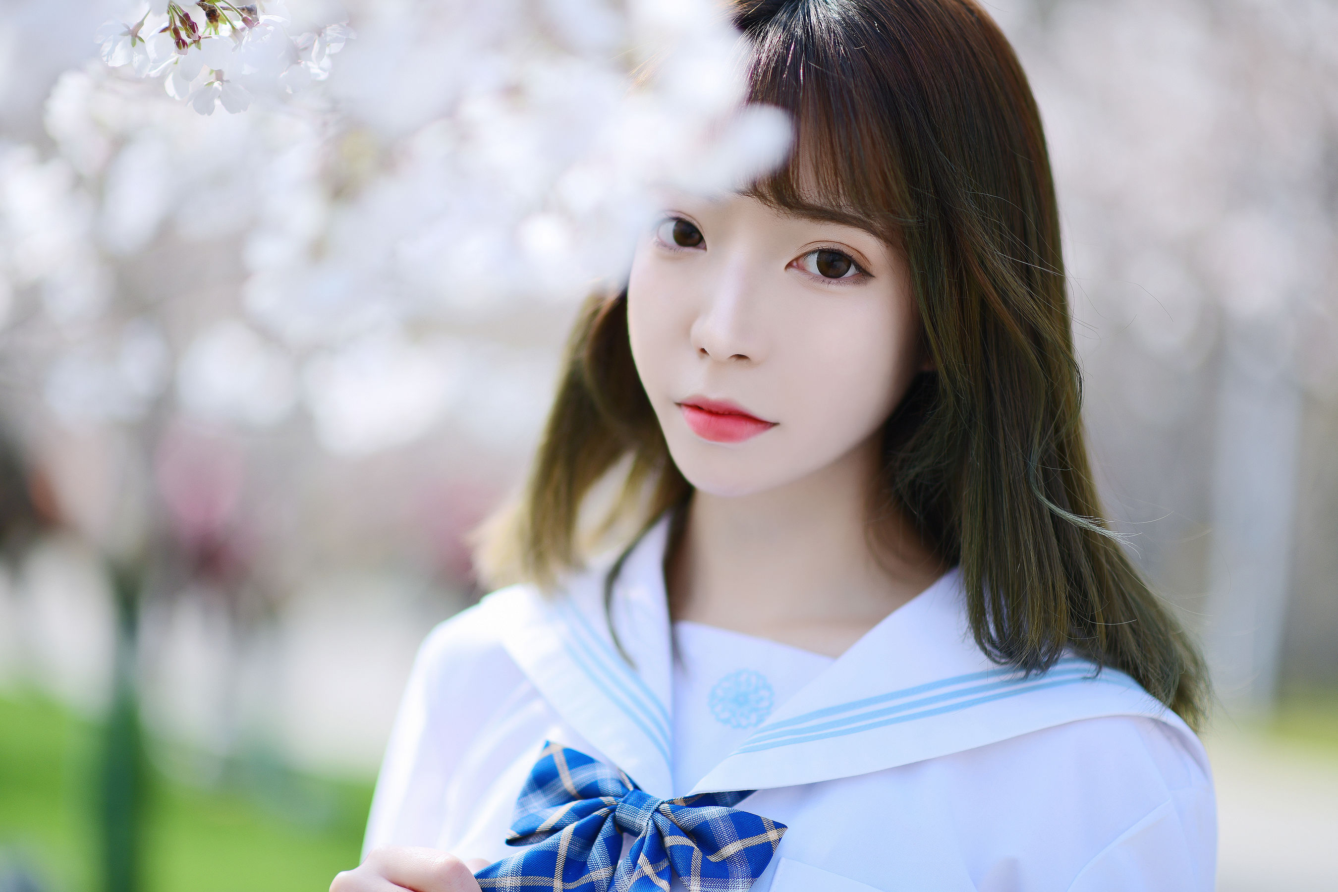 可爱妹子Fushii_海堂 - 樱花树下-图20