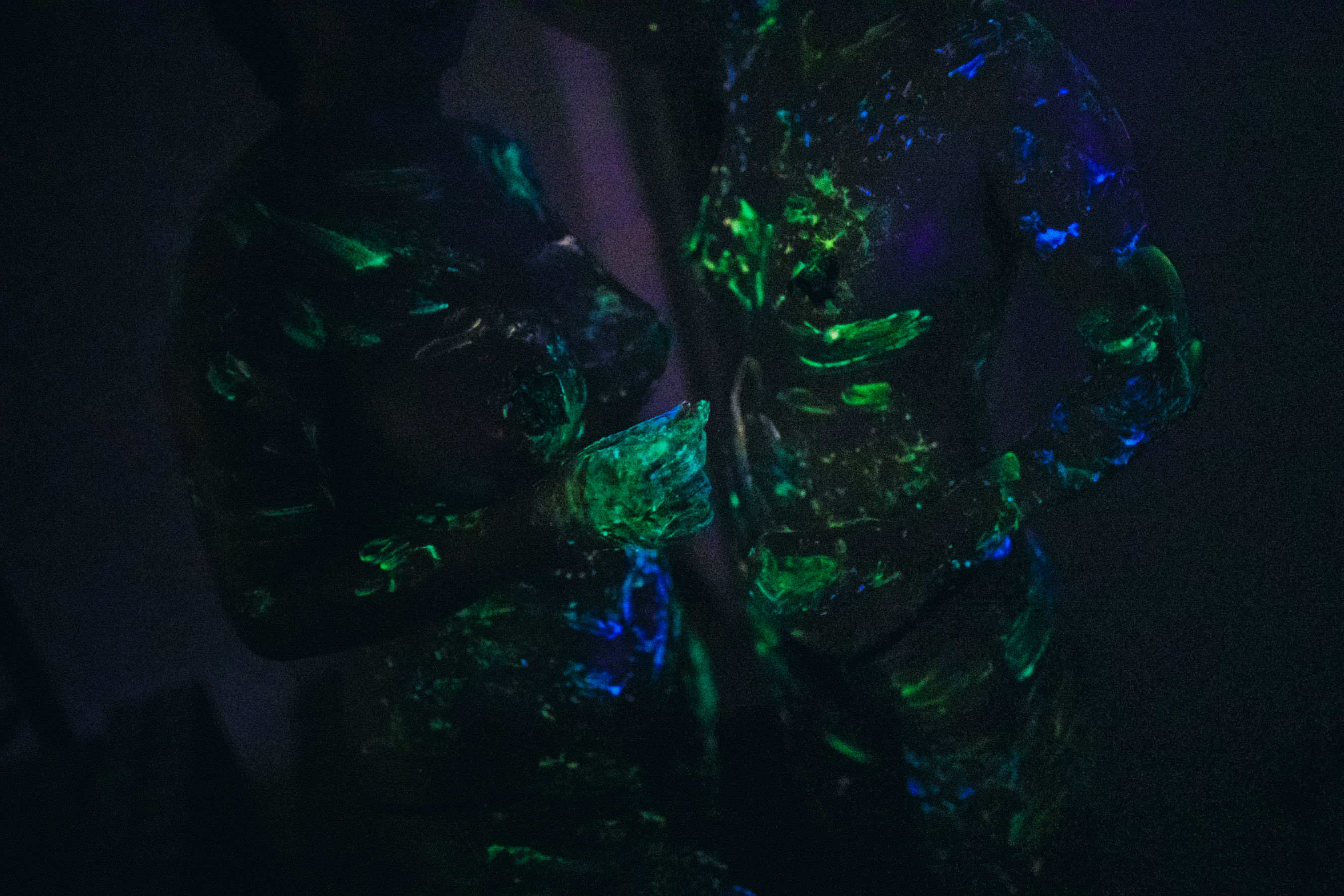 甜糖大魔王g - 双人抹油-图39