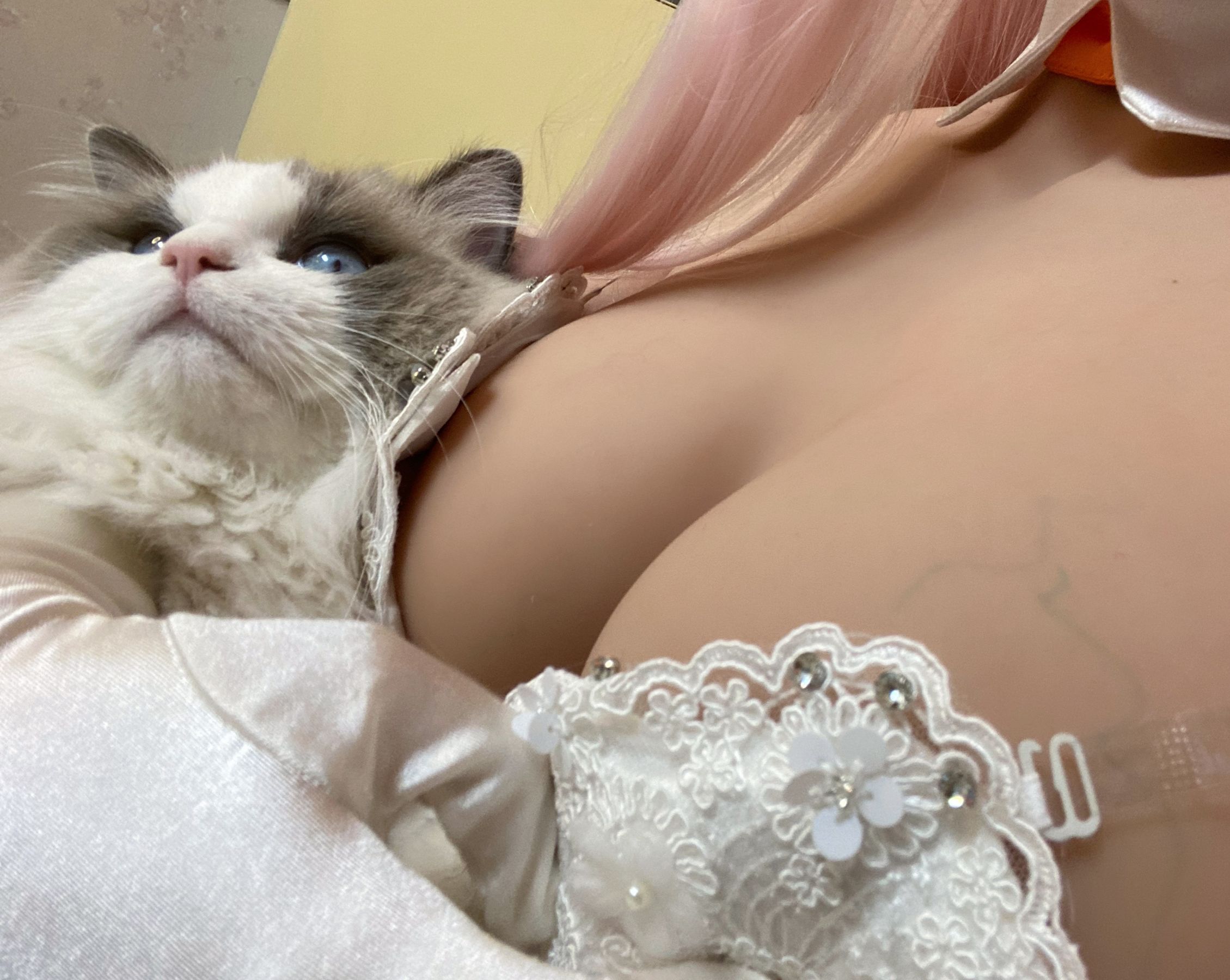 起司块wii写真 - 自拍1-图0