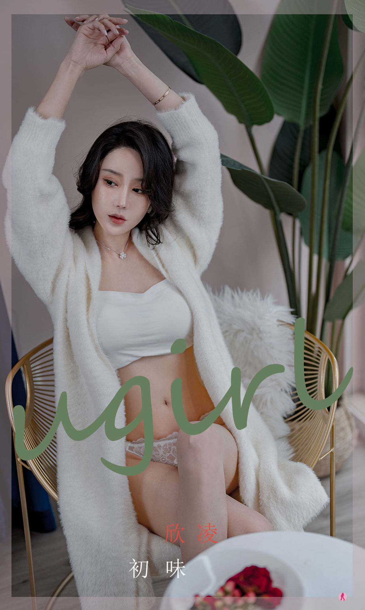 No.2321 欣发 初味-图0