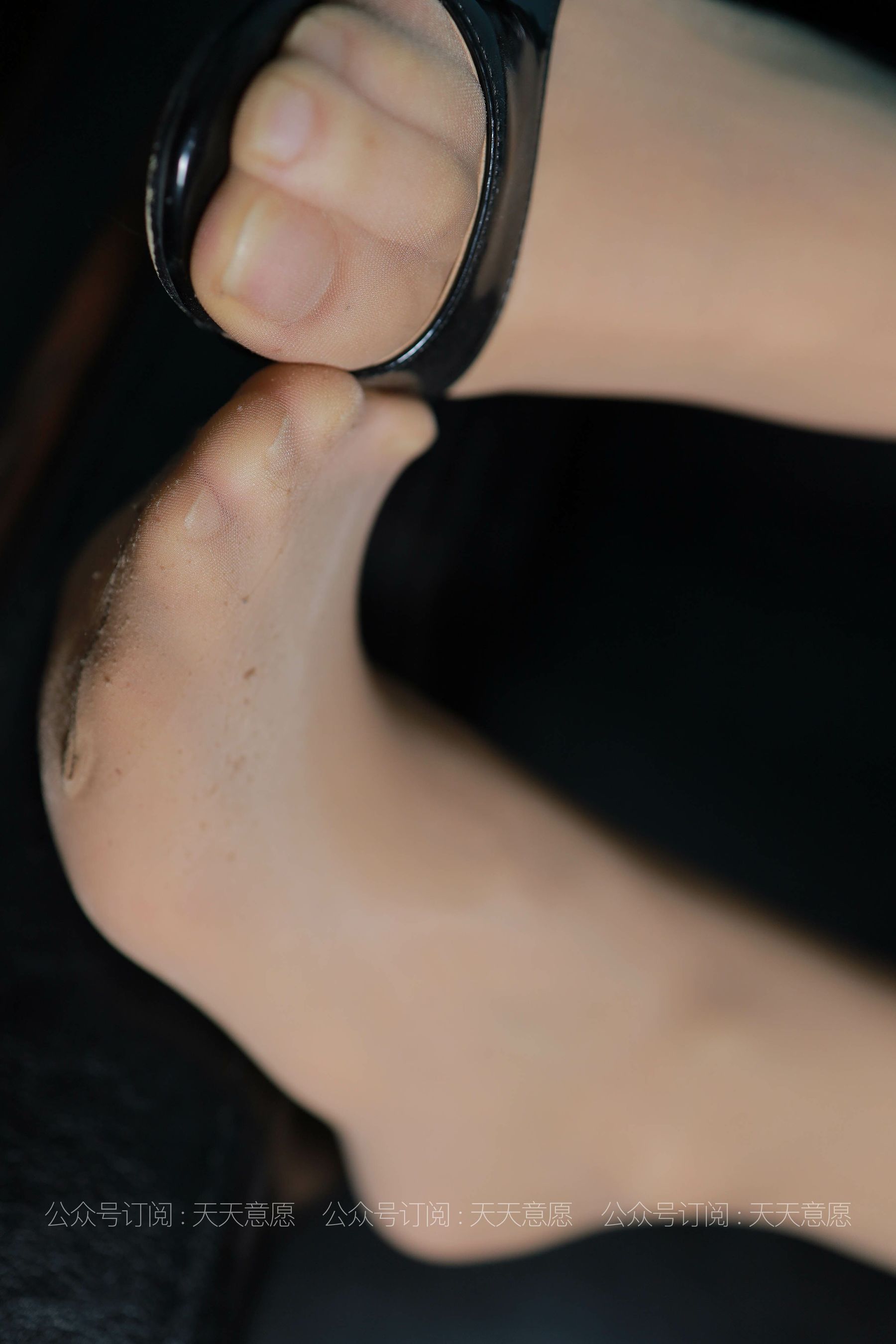 037 肉肉 白加黑-图39