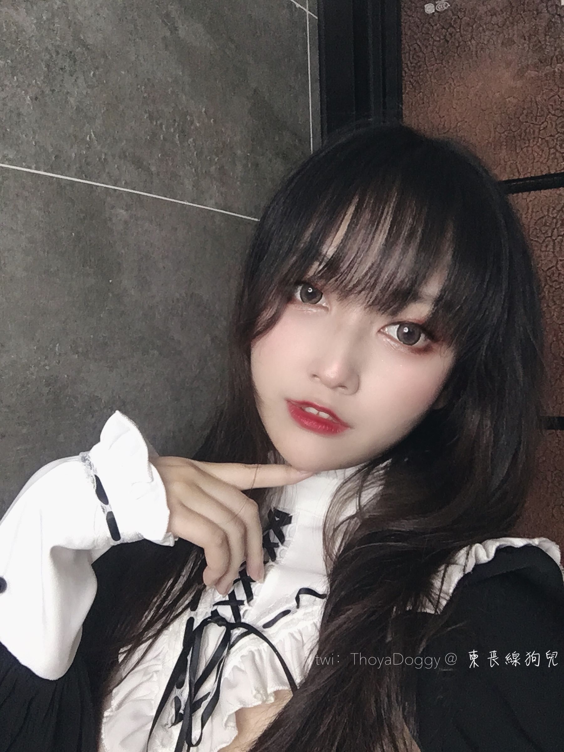 奇行家狗崽(棕桠阿狗崽) - 机械修女-图0