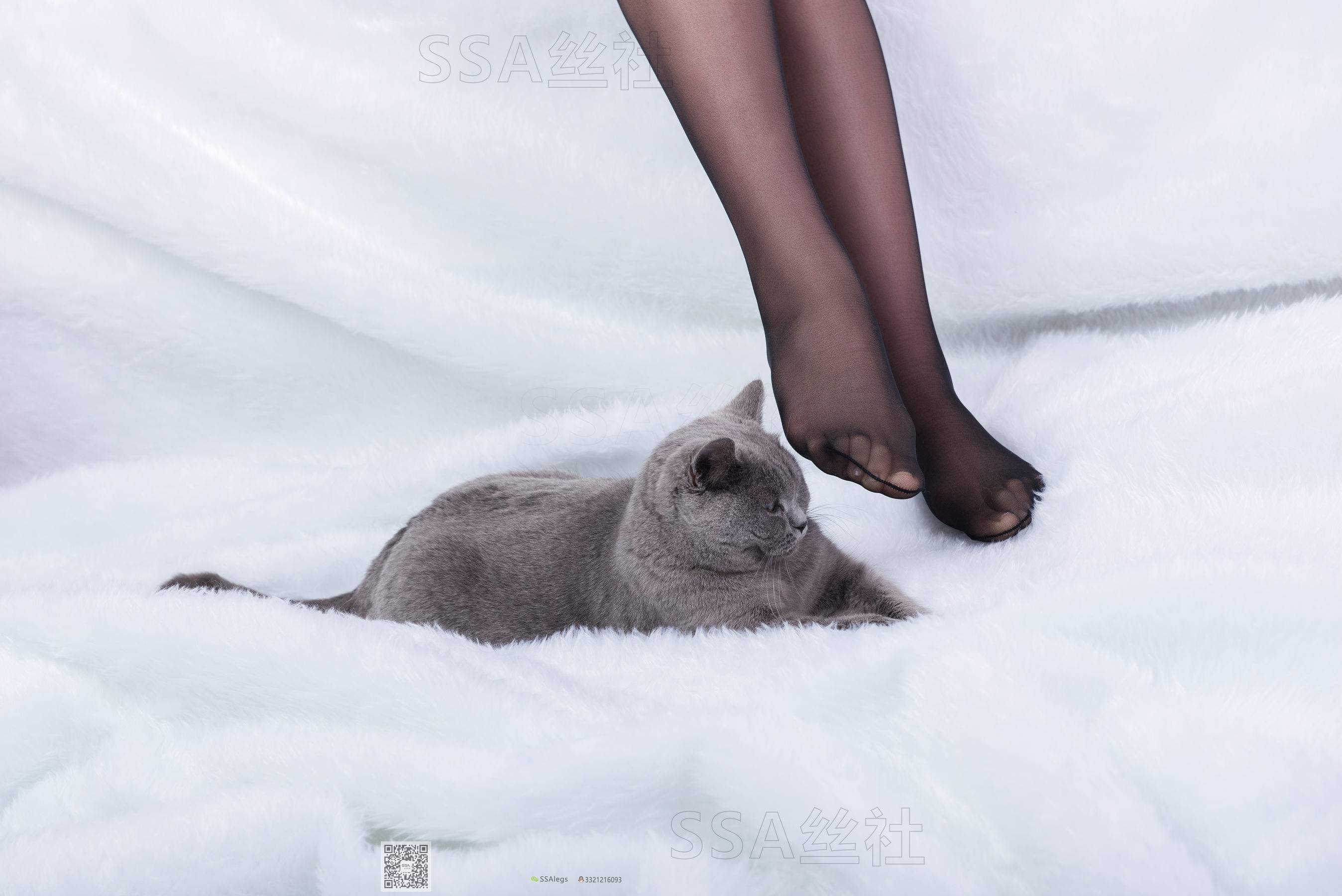 超清写真 No.069 云云 旗袍-图2