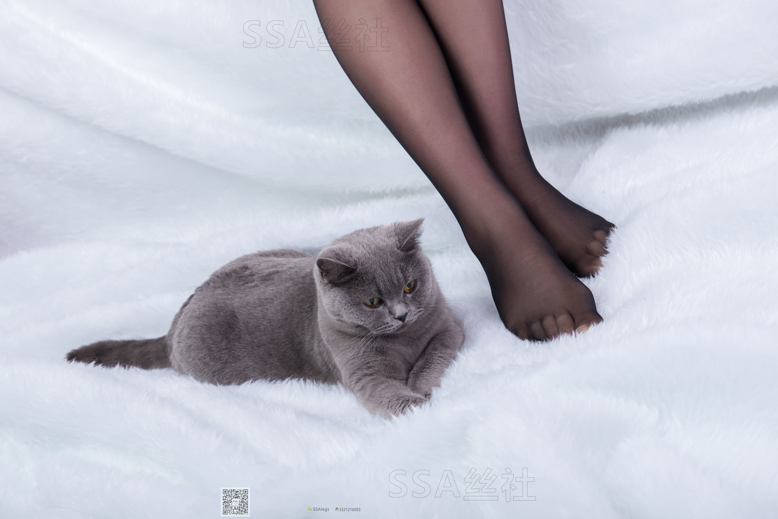 超清写真 No.069 云云 旗袍-图3