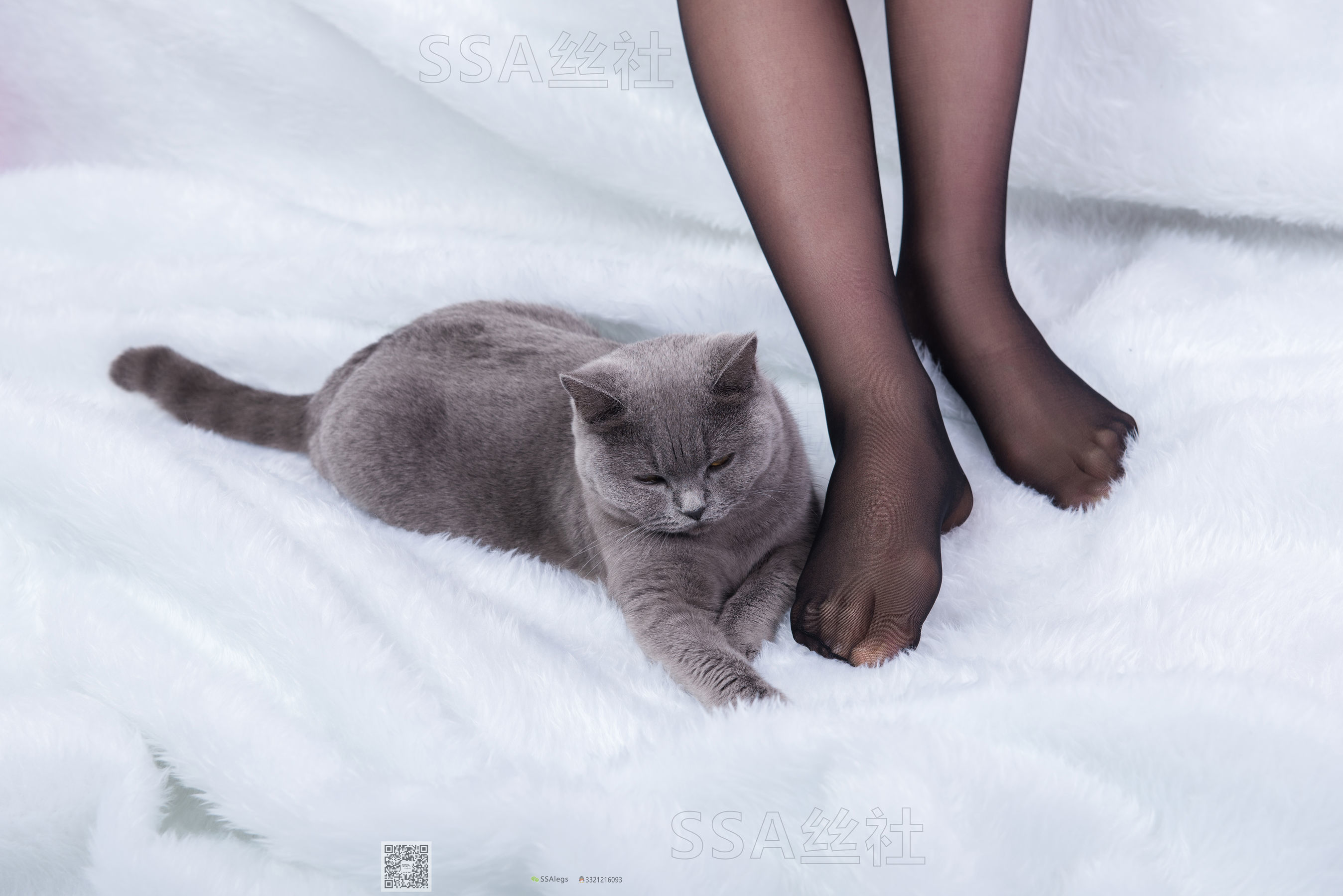 超清写真 No.069 云云 旗袍-图4