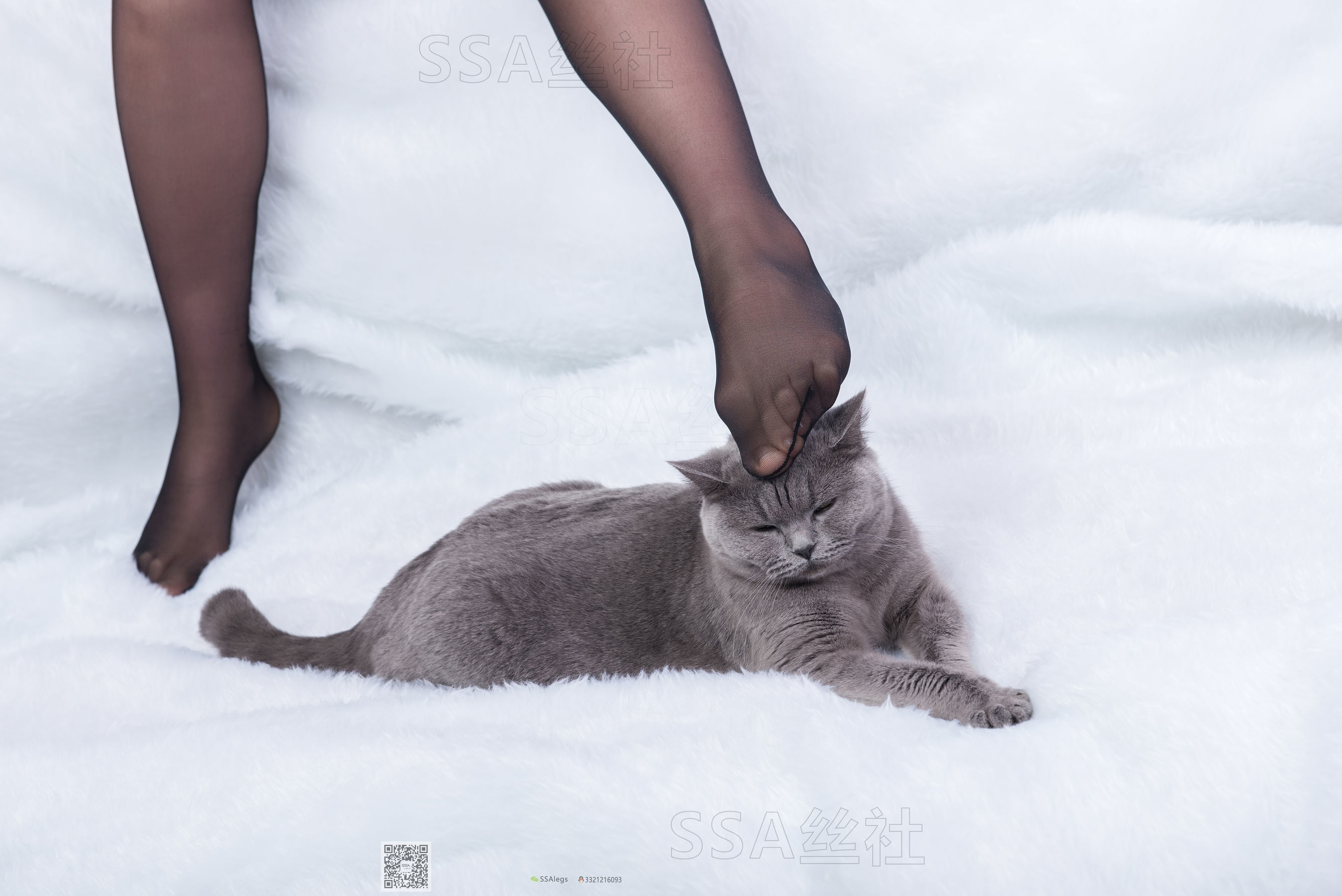 超清写真 No.069 云云 旗袍-图8