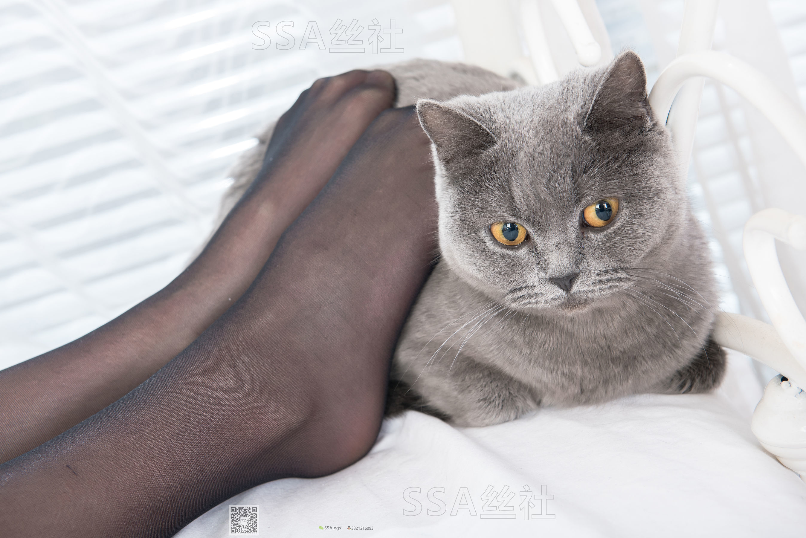 超清写真 No.081 佳佳 黑色星期五-图135