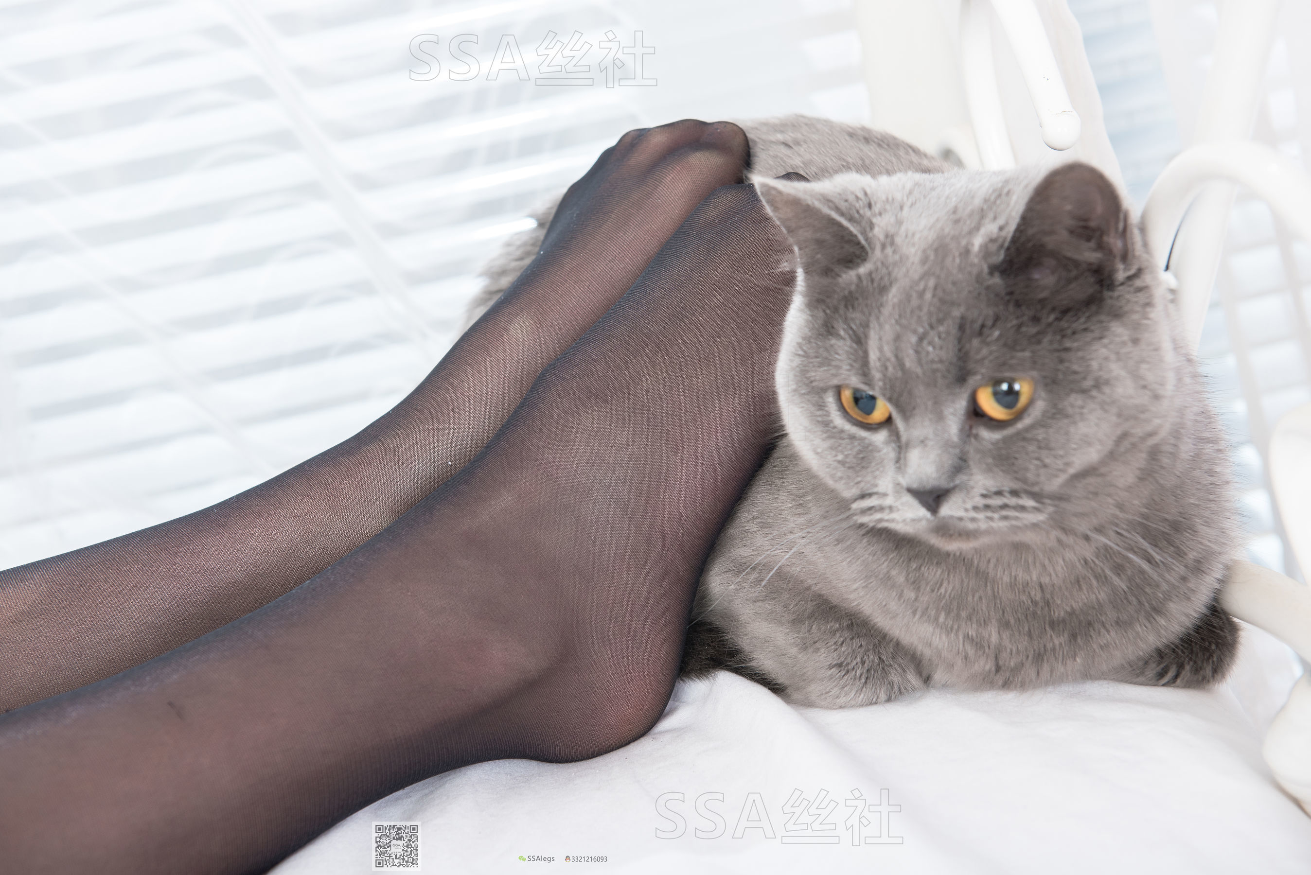 超清写真 No.081 佳佳 黑色星期五-图136