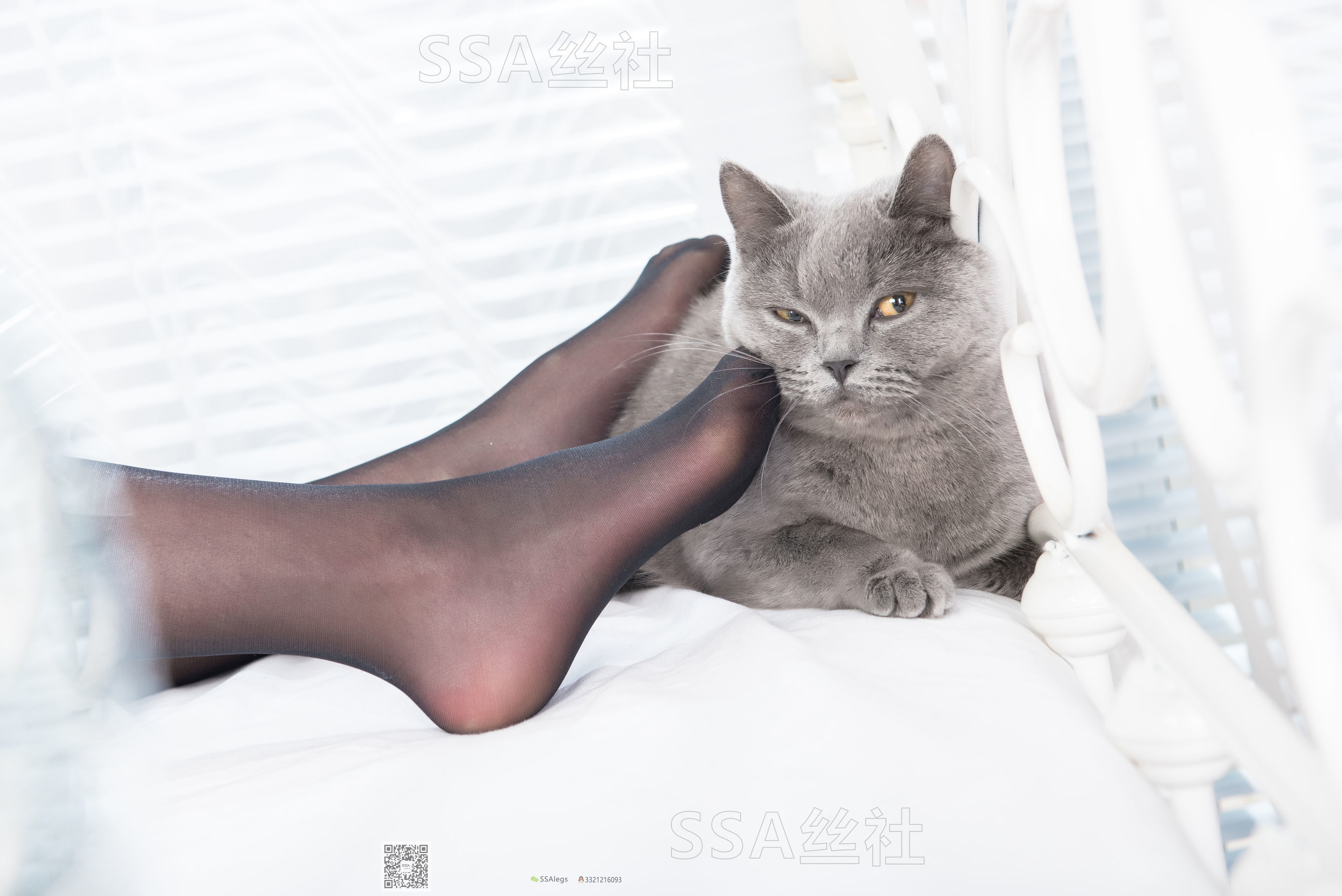 超清写真 No.081 佳佳 黑色星期五-图146