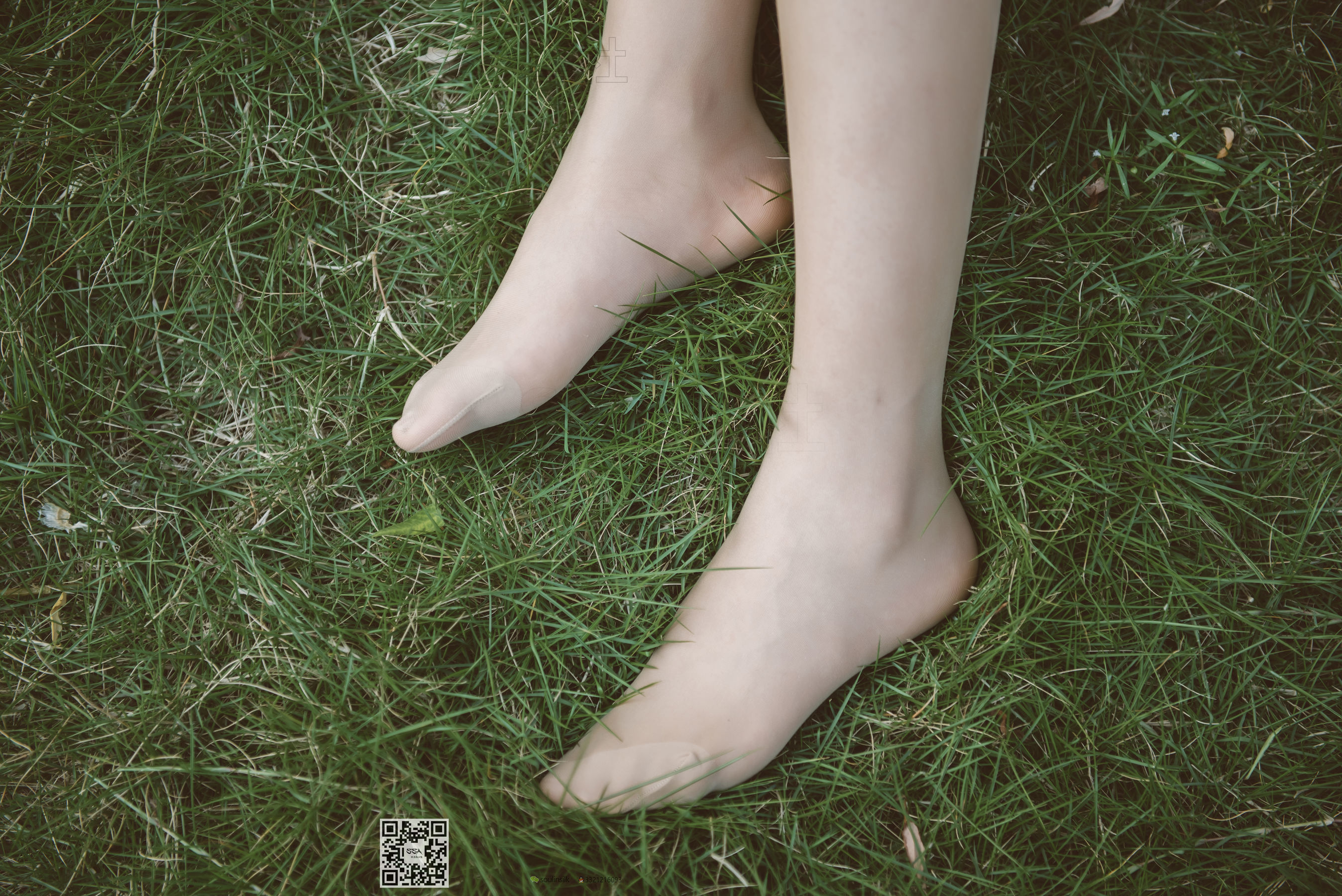 超清写真 No.111 腿模君君 旗袍秀-图159