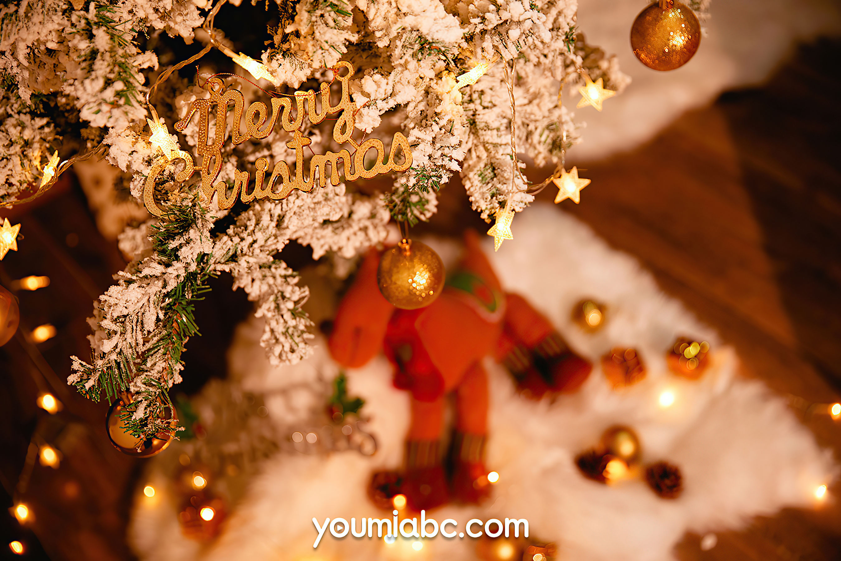 李承美 圣诞雪夜狂想曲-图2