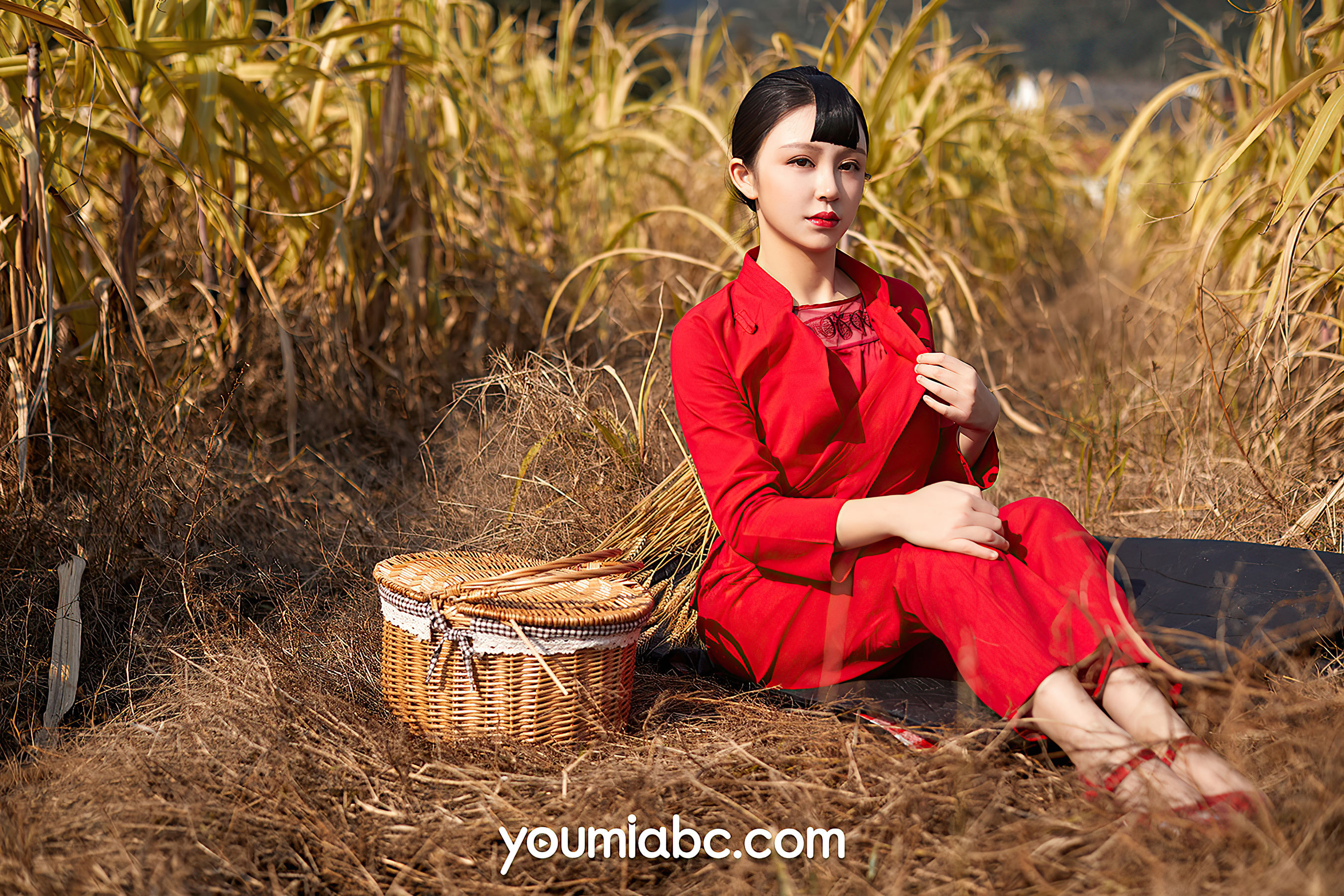 沈善熙 红高粱-图11