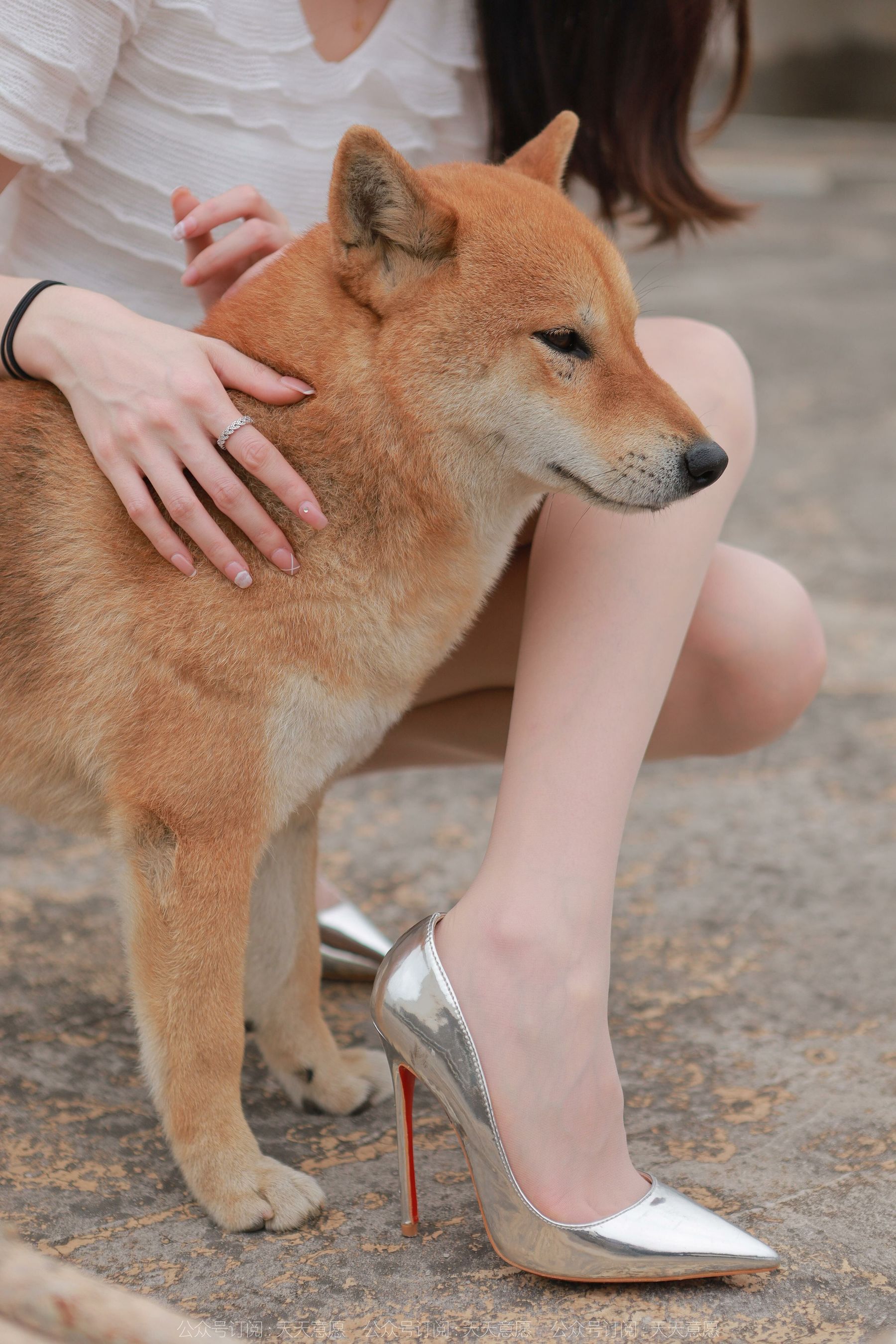模特 佳爷 《12月女神佳爷》-图26