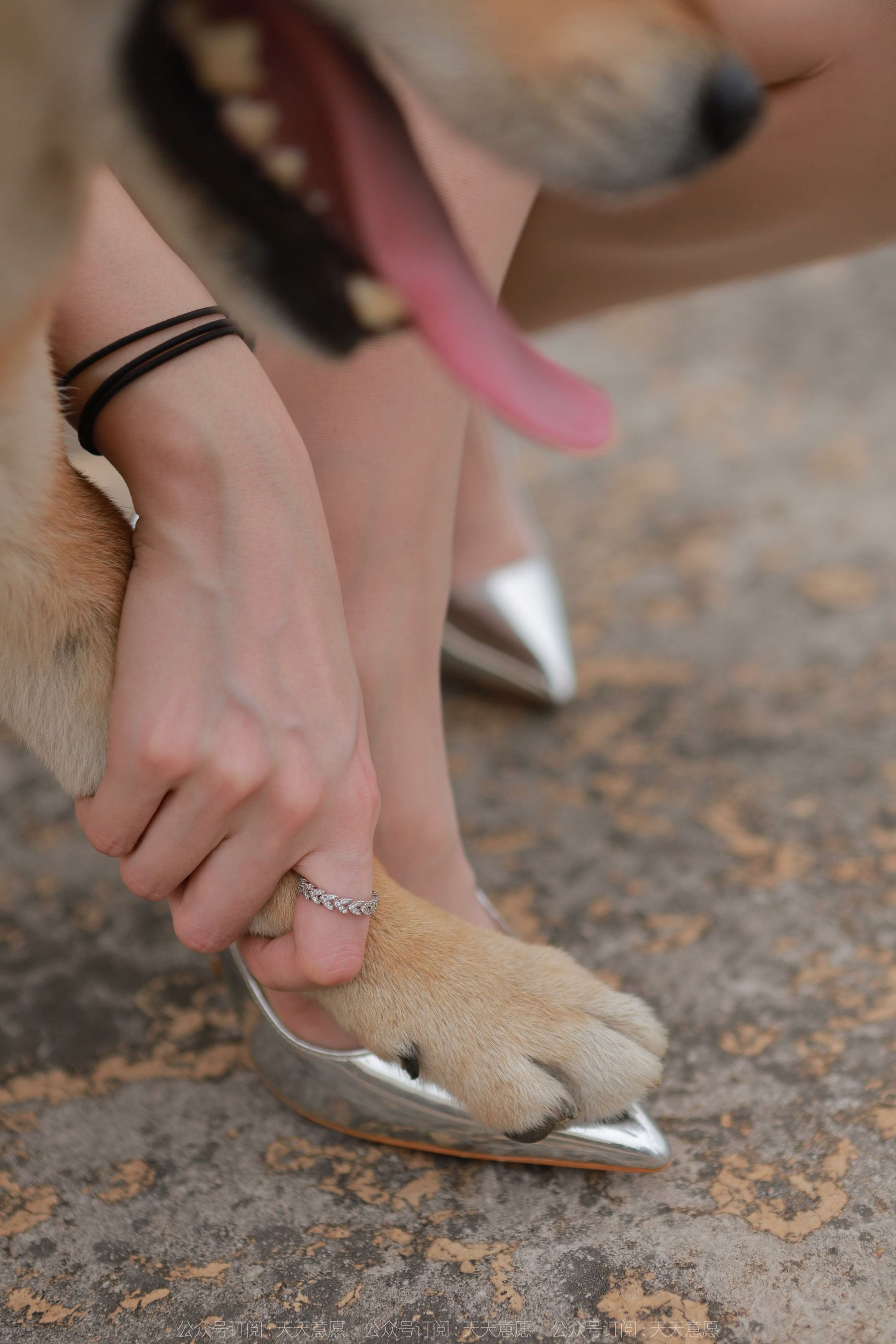 模特 佳爷 《12月女神佳爷》-图30