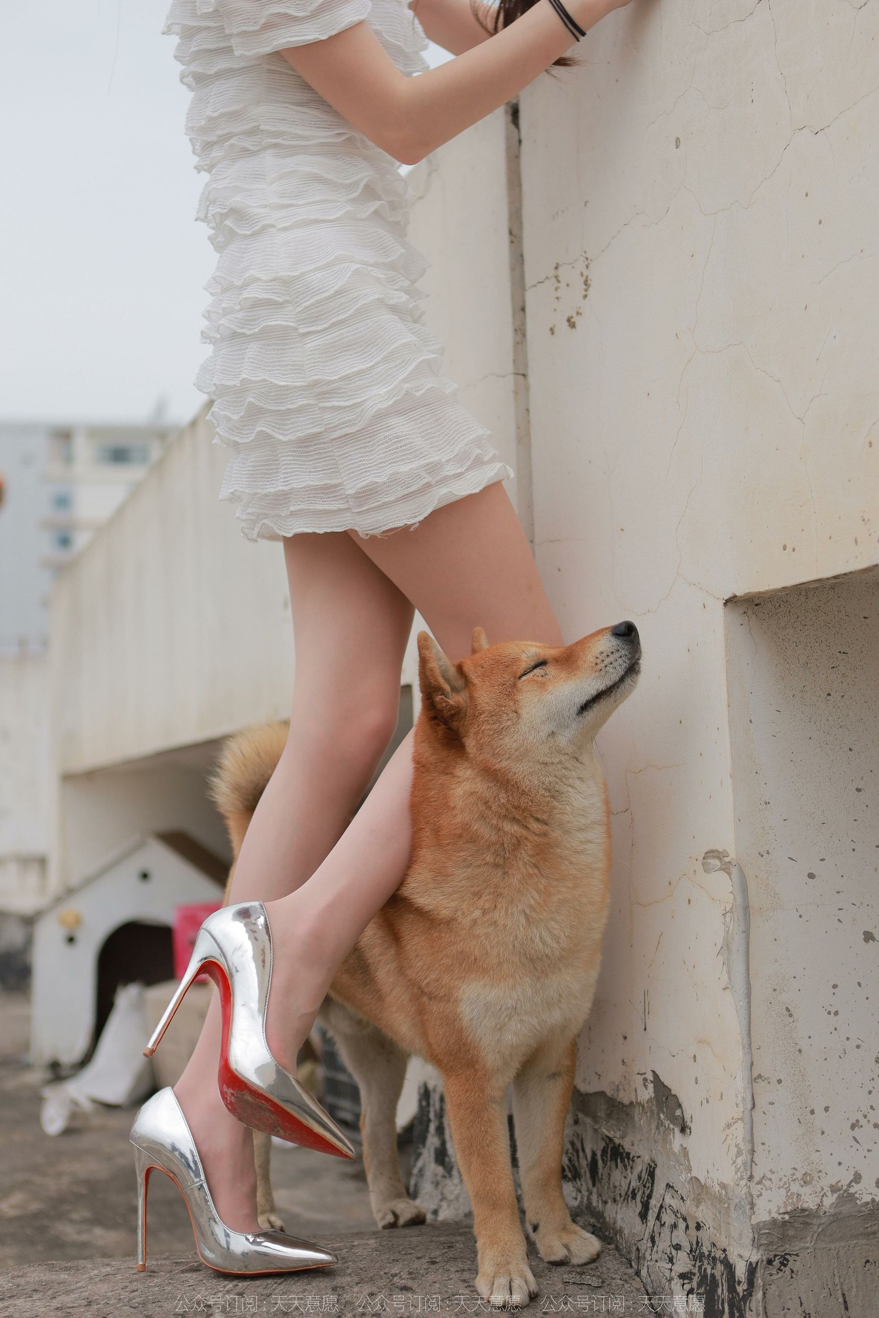 模特 佳爷 《12月女神佳爷》-图78