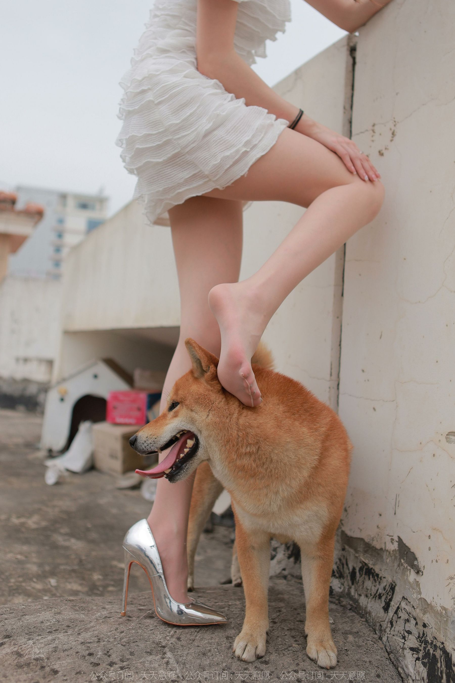 模特 佳爷 《12月女神佳爷》-图82