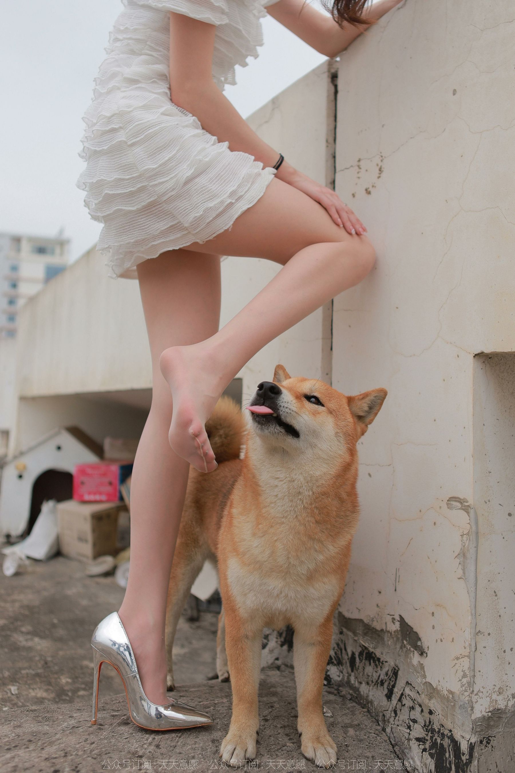 模特 佳爷 《12月女神佳爷》-图84