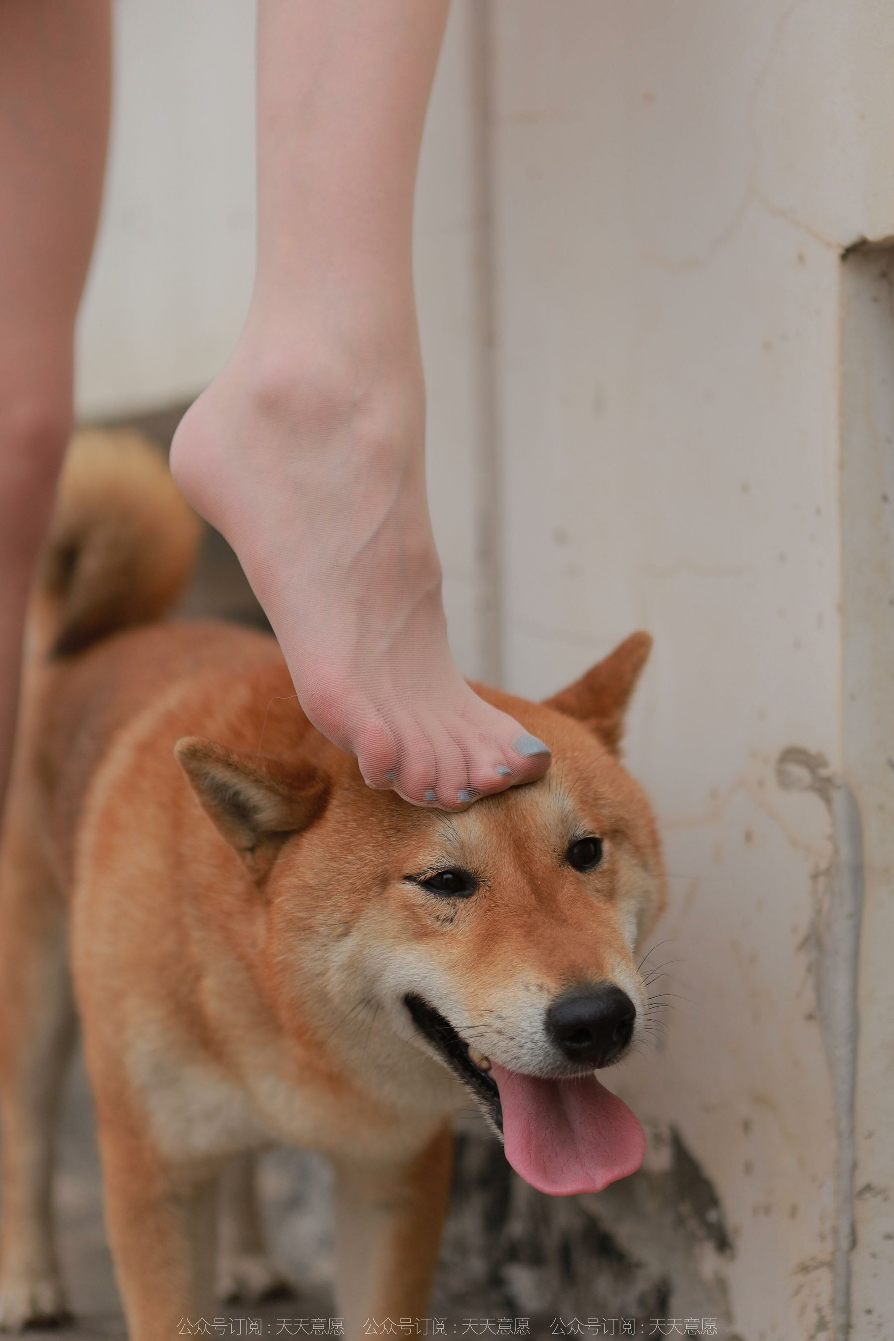 模特 佳爷 《12月女神佳爷》-图86