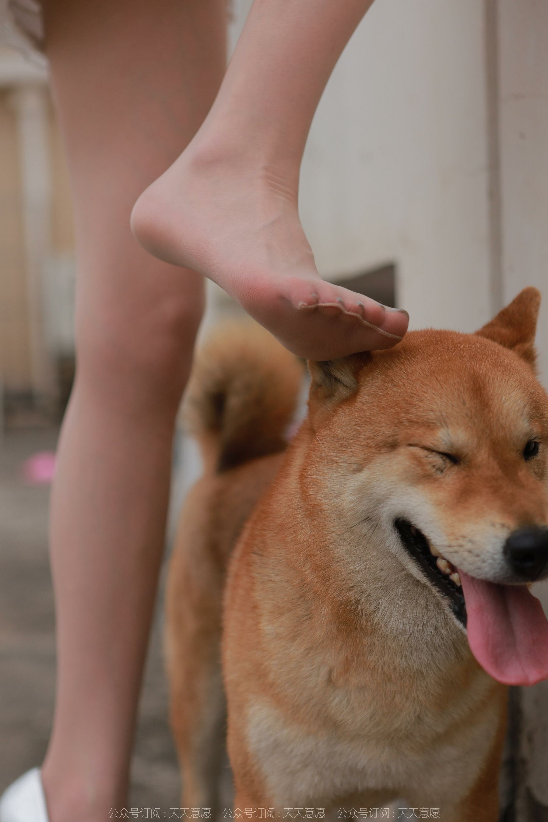 模特 佳爷 《12月女神佳爷》-图89