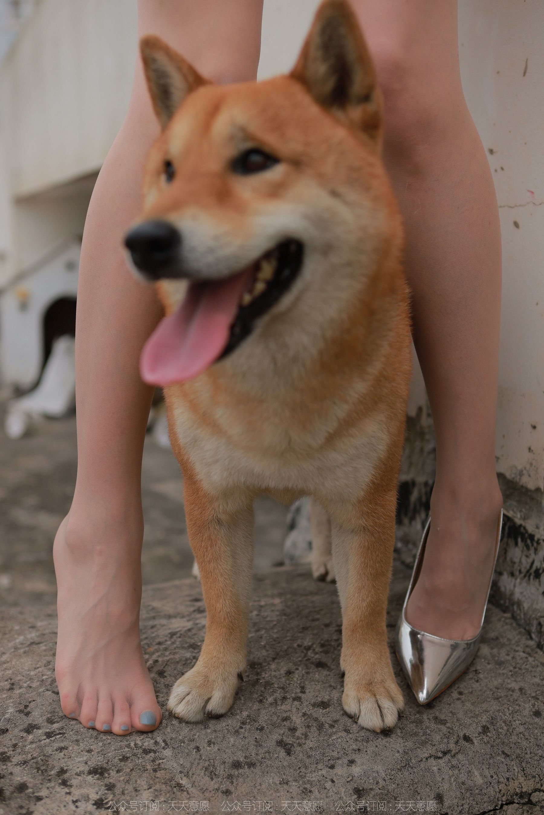 模特 佳爷 《12月女神佳爷》-图90