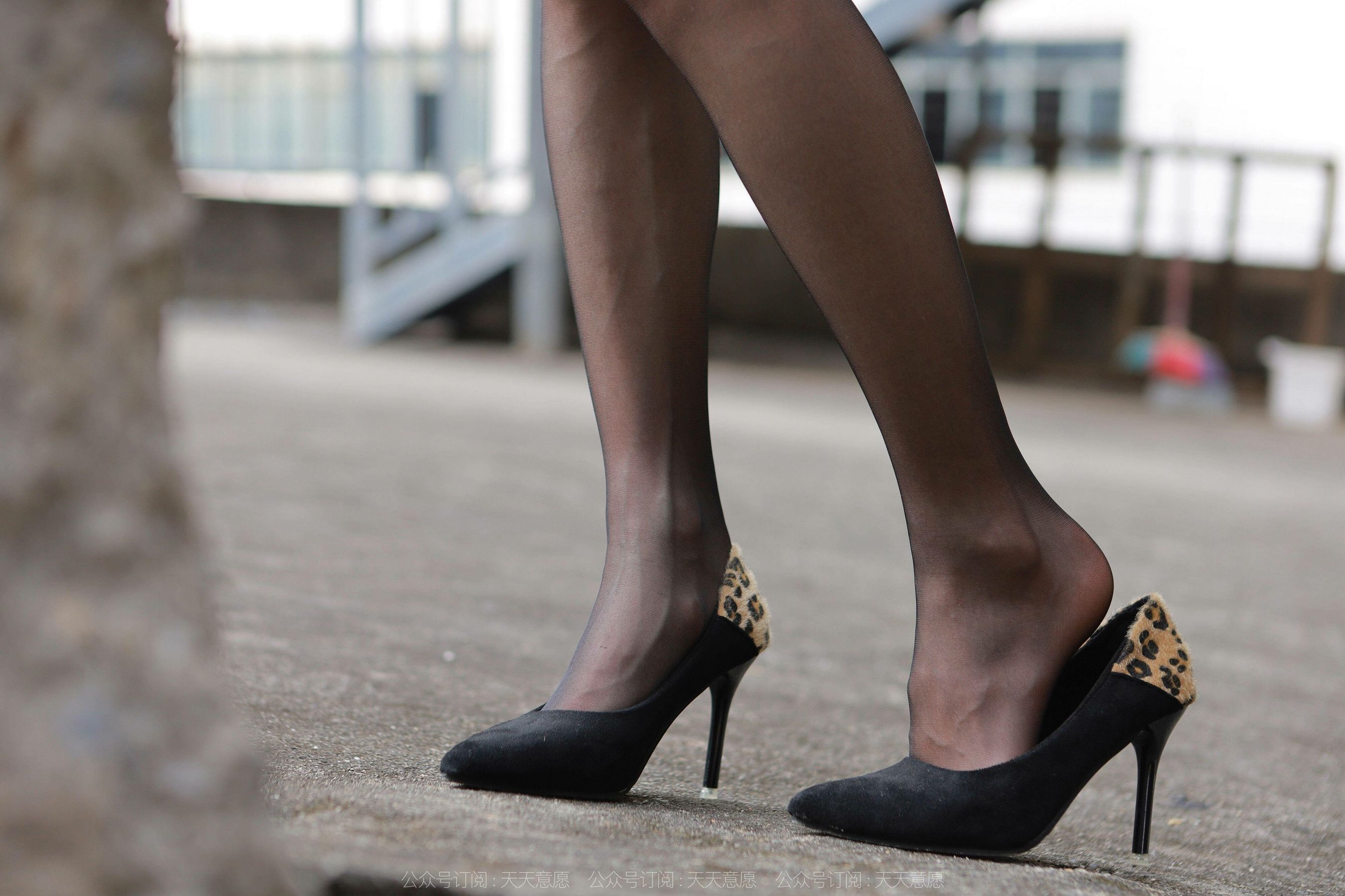 模特 小六 《性感豹纹》-图53