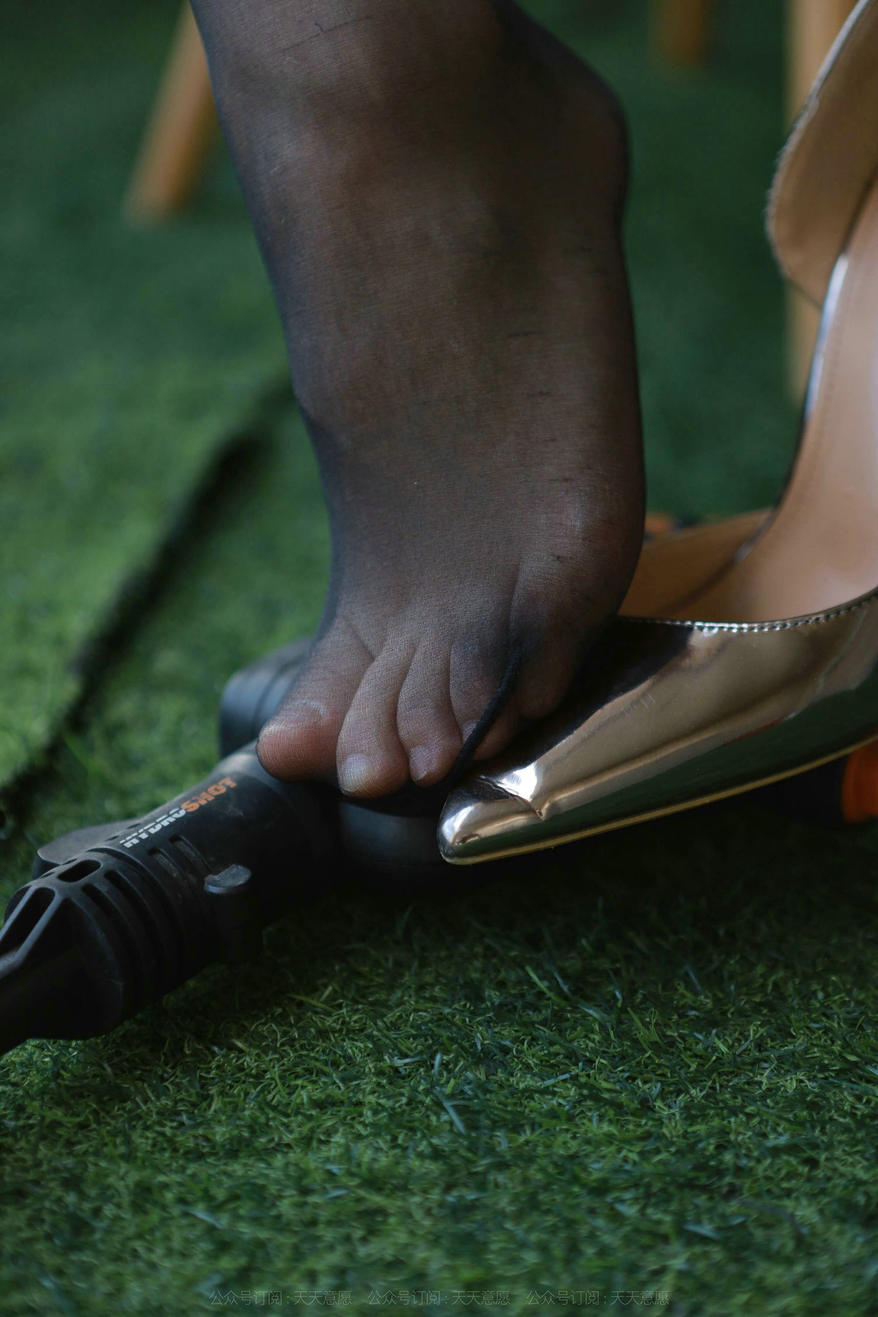 模特 秋秋 《丰满斑马纹》-图81