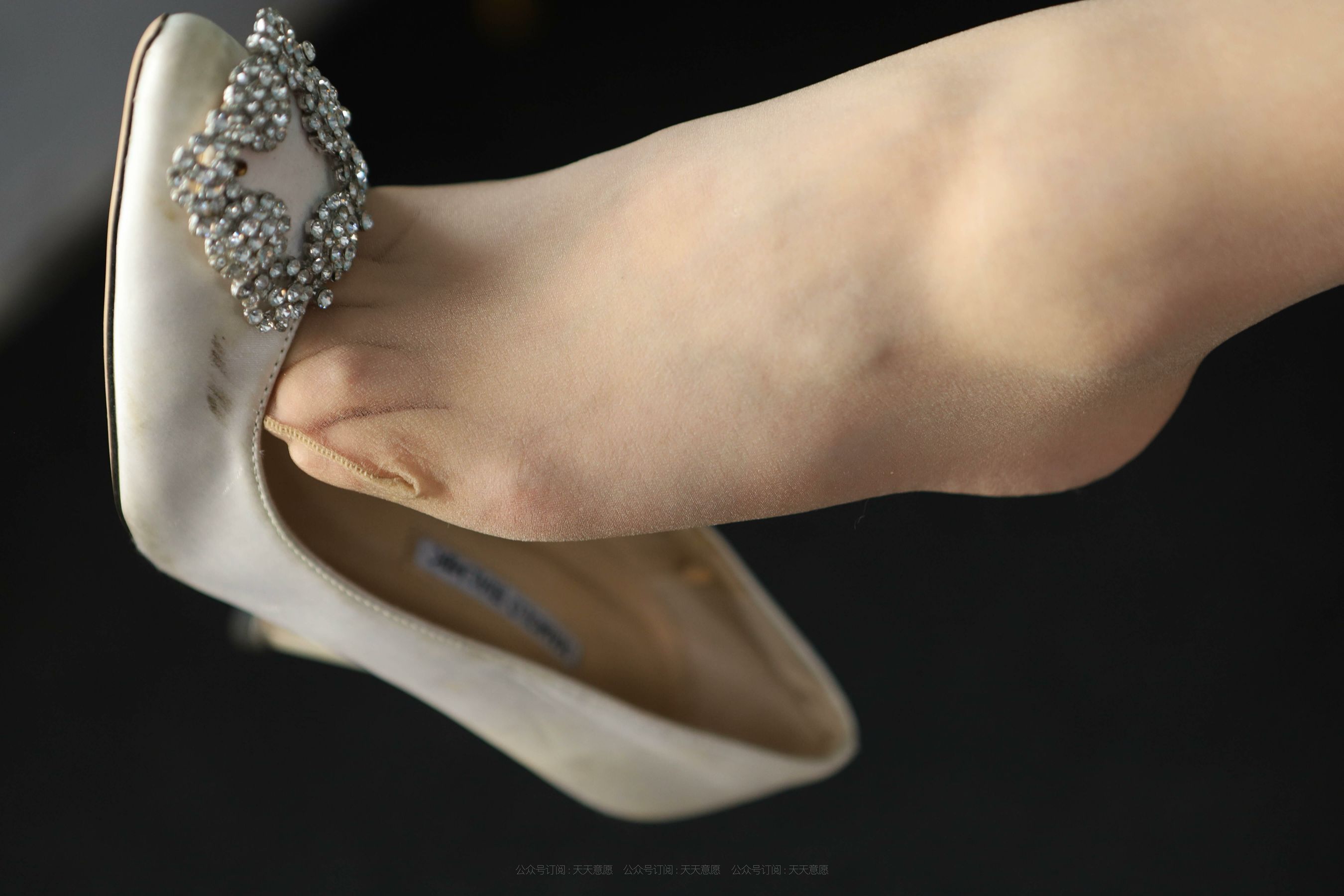 模特 秋秋 《诱人白玫瑰》-图6