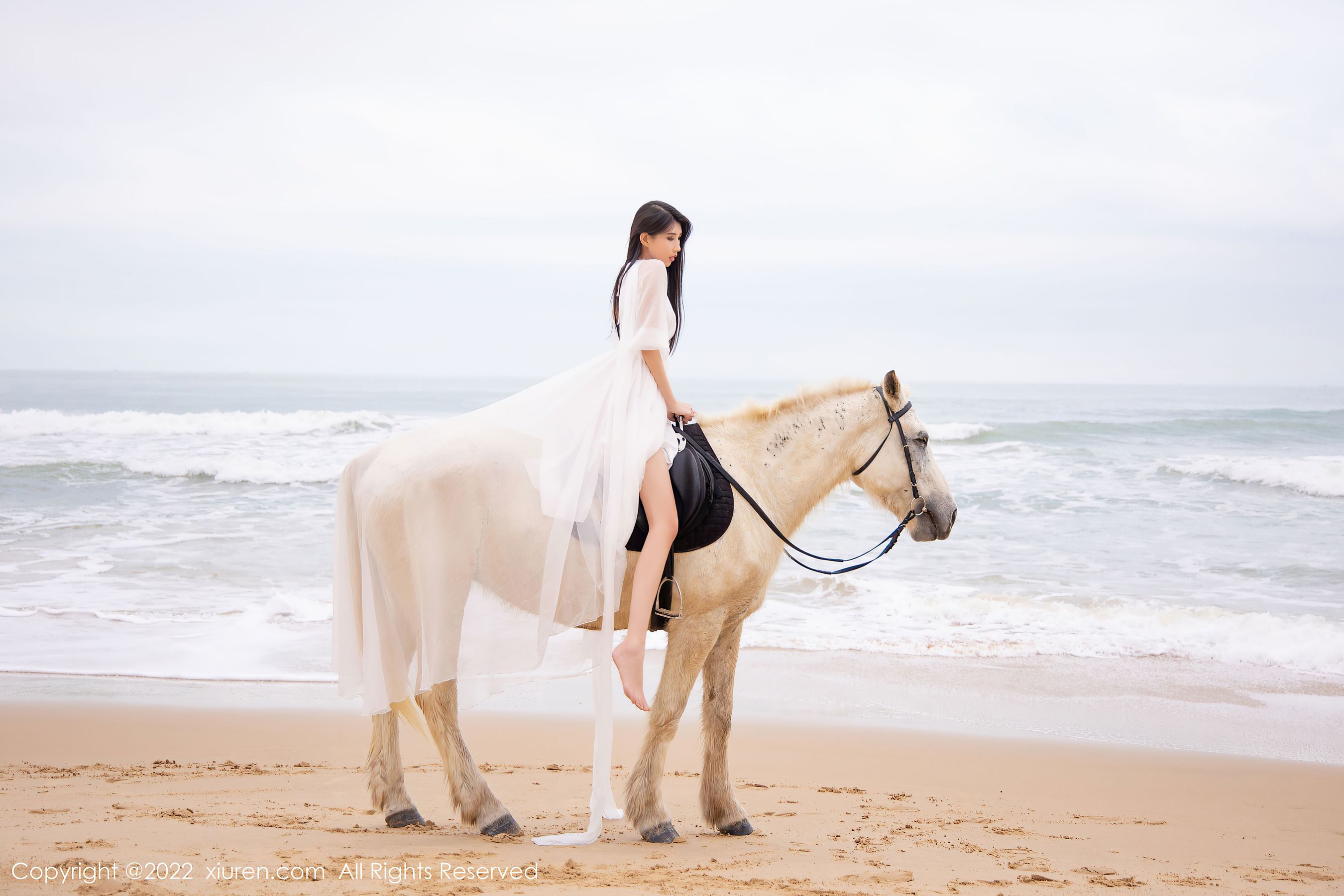 No.4829 葛征-图10