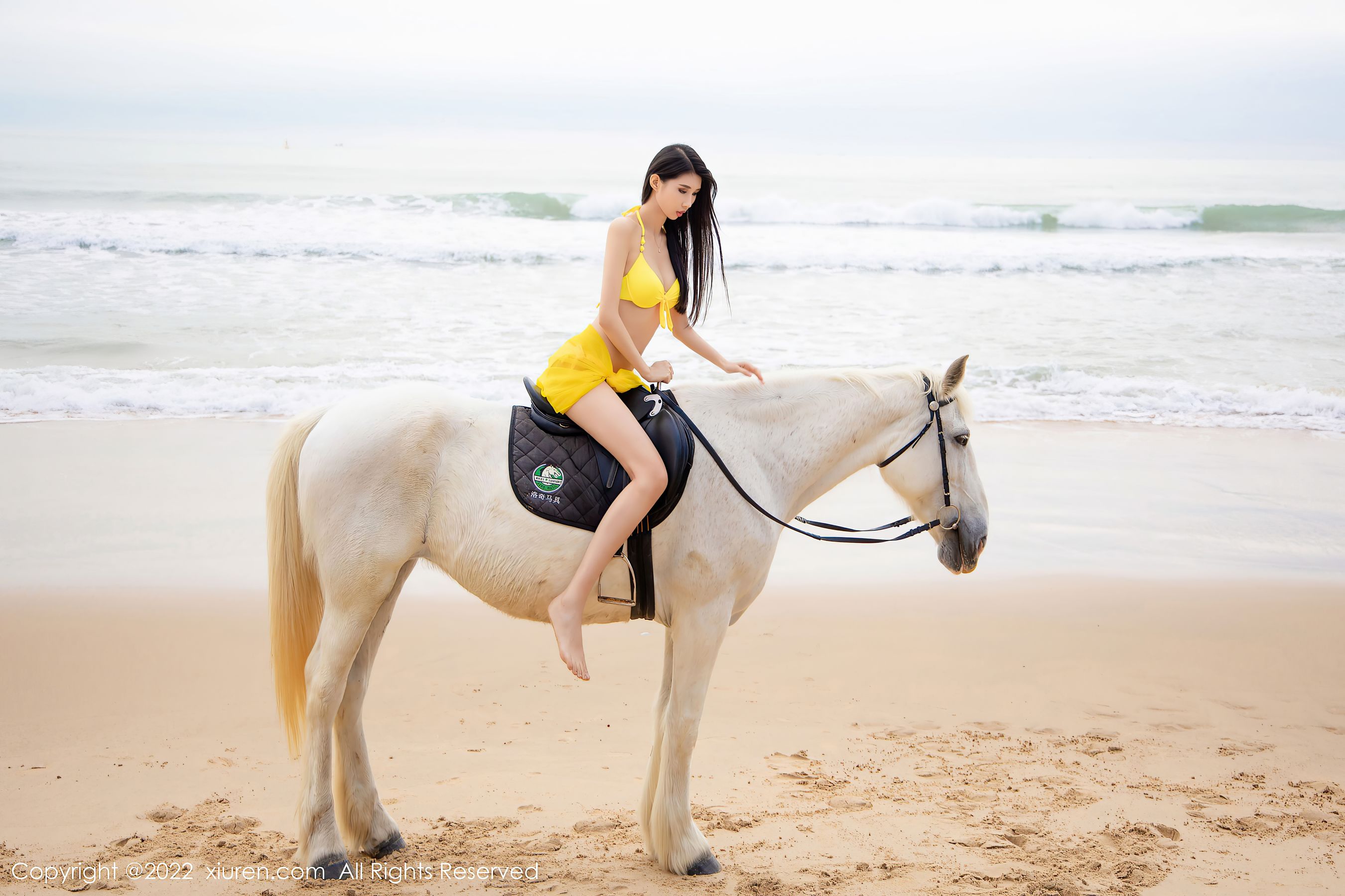 No.4829 葛征-图27