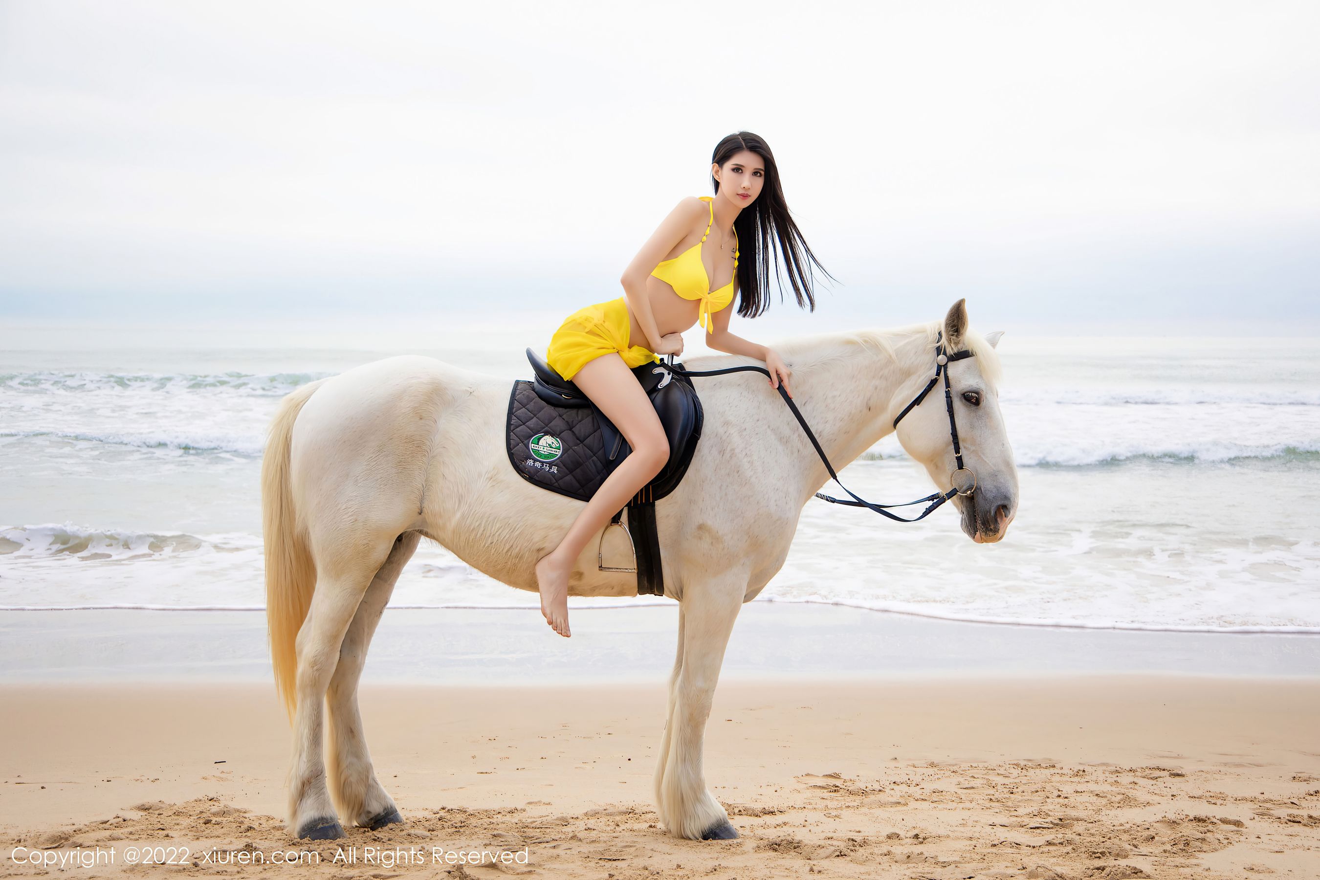 No.4829 葛征-图28