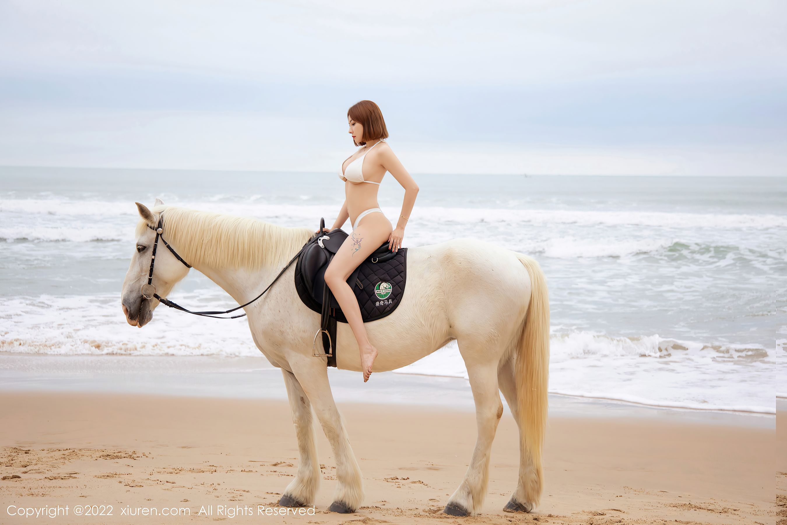 No.4853 果儿Victoria-图22