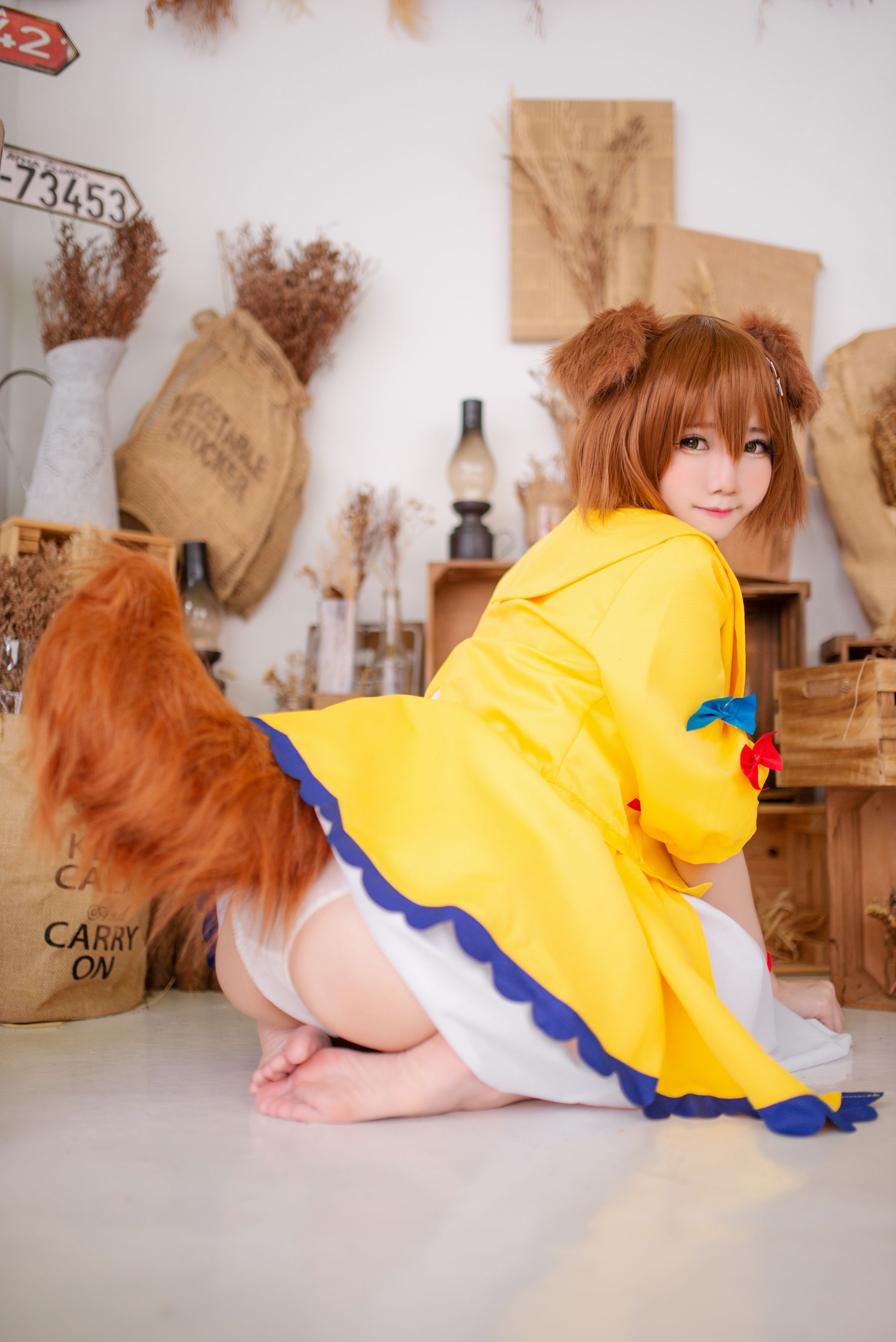 Sally Dorasnow - Inugami Korone-图5