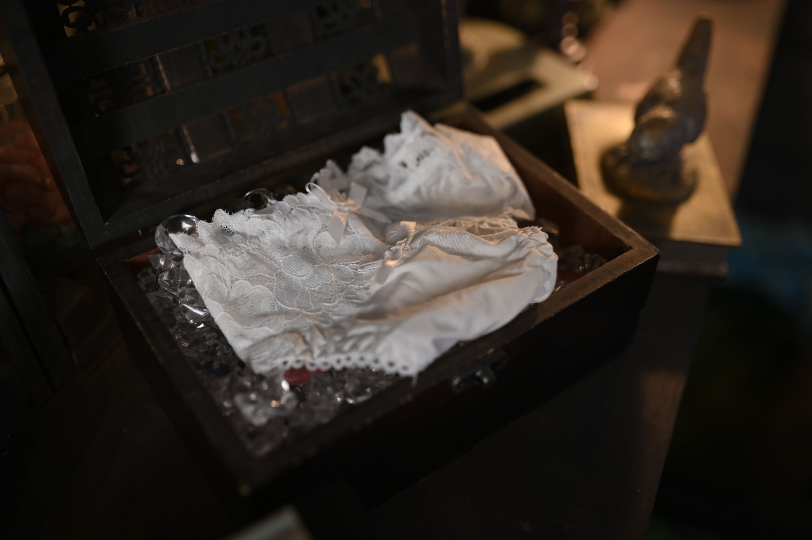 Sally Dorasnow - Roxy Mirgurdia-图46