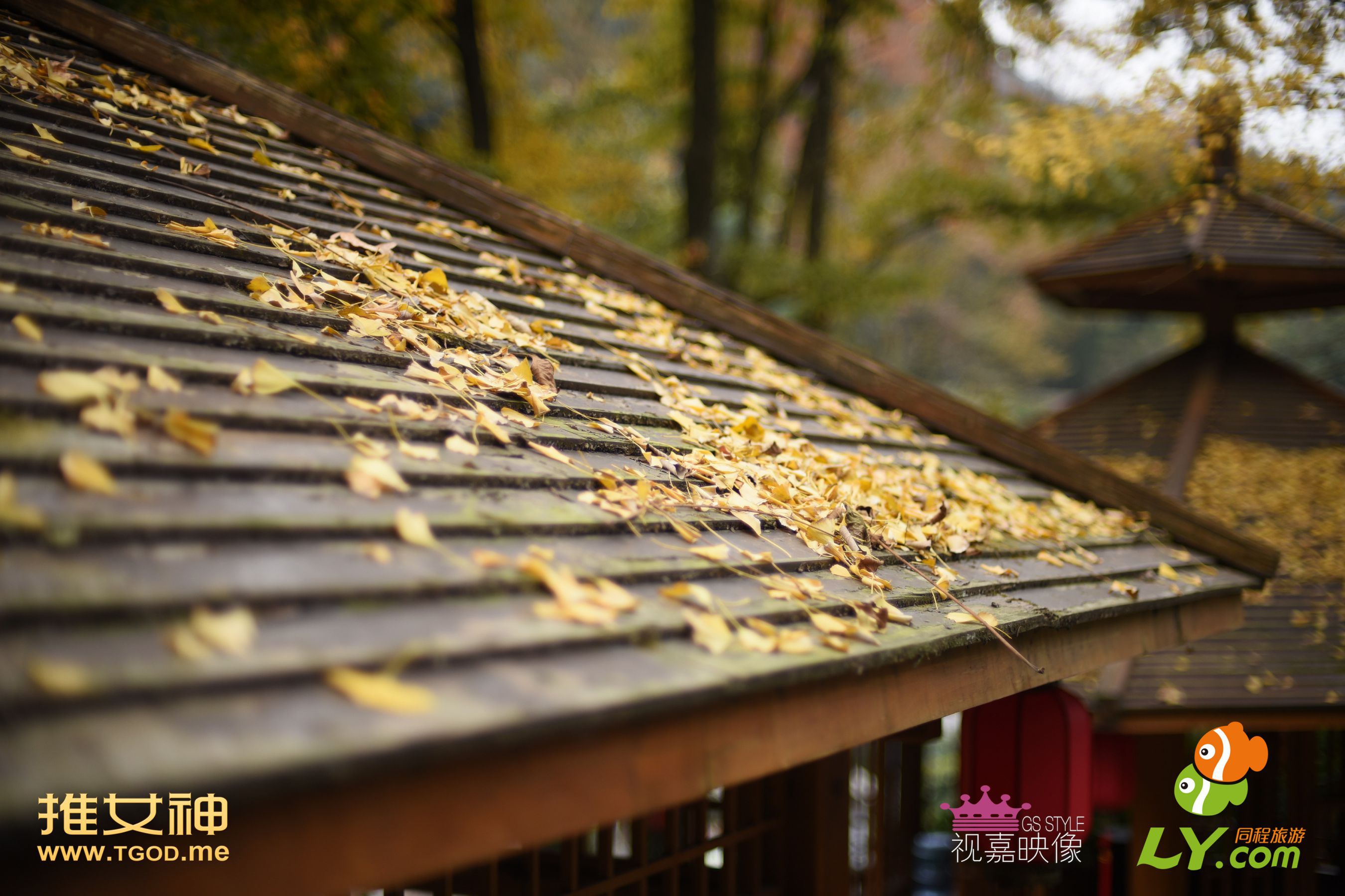 戴唯一《女神去哪儿第16期》  写真集-图33