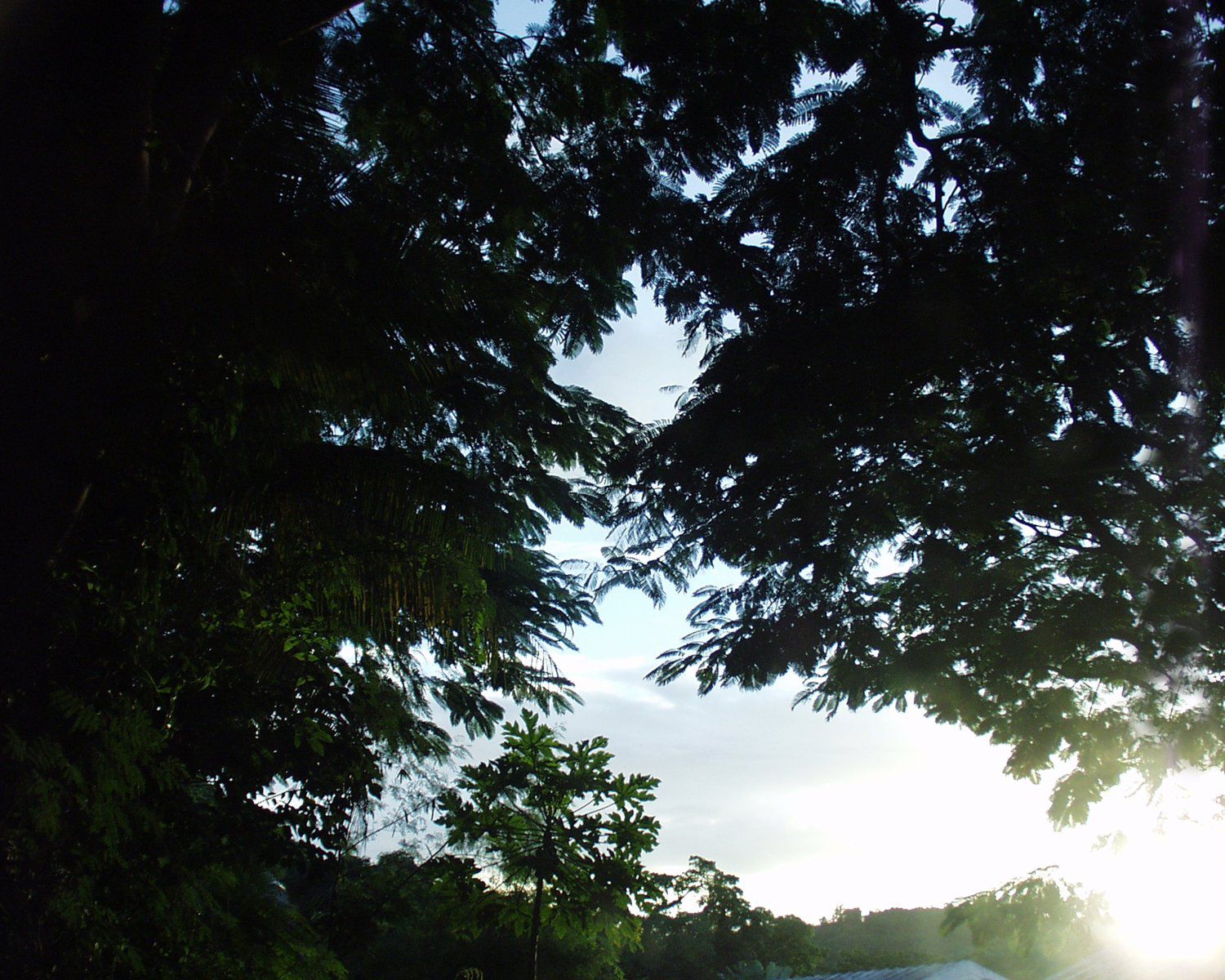 SF-No.076 Aki Kawamura 川村亚纪/川村亜紀-图9