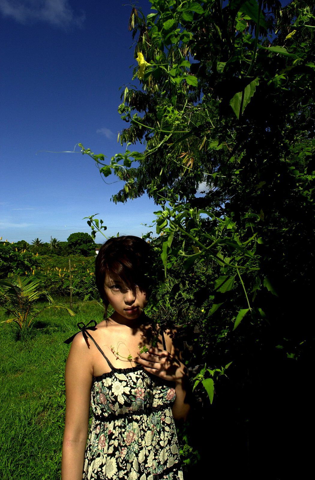 SF-No.076 Aki Kawamura 川村亚纪/川村亜紀-图28