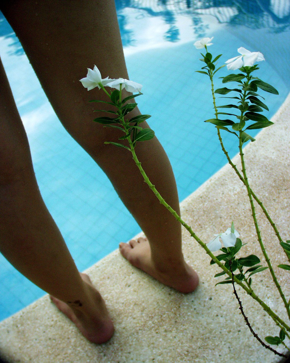 SF-No.076 Aki Kawamura 川村亚纪/川村亜紀-图5