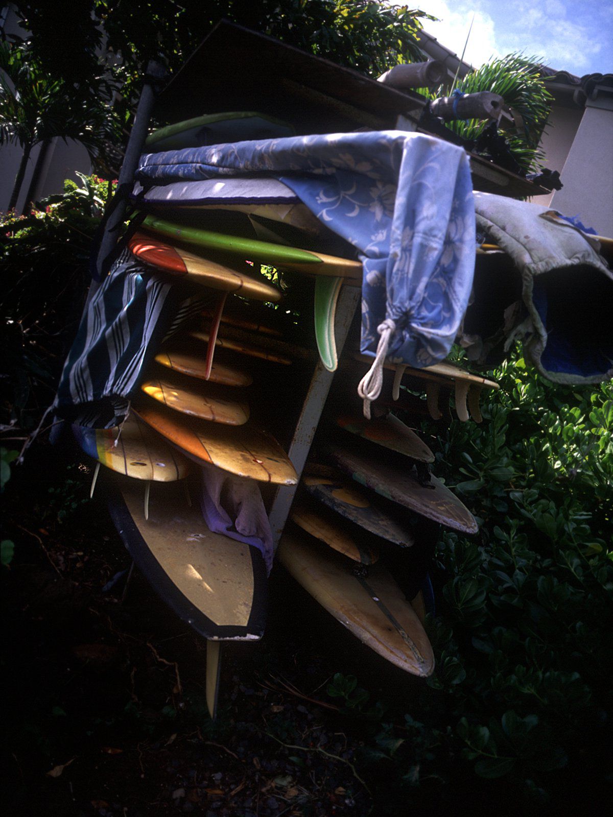 SF-No.079 Kanako Kojima 小島可奈子/小岛可奈子-图38