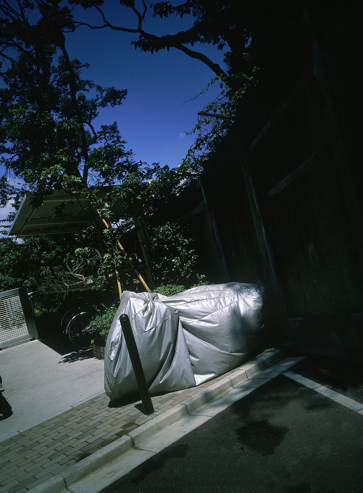 SF-No.081 Yui Shinada 品田ゆい-图2