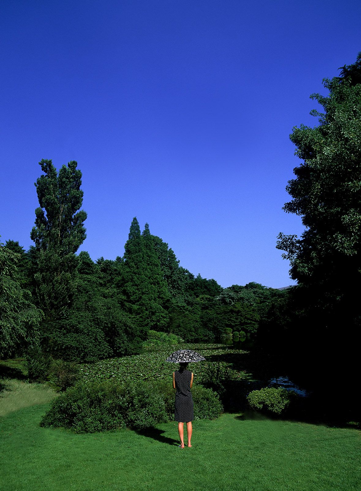 SF-No.082 Natsuki Harada 原田夏希 -UNDERAGE!-图25