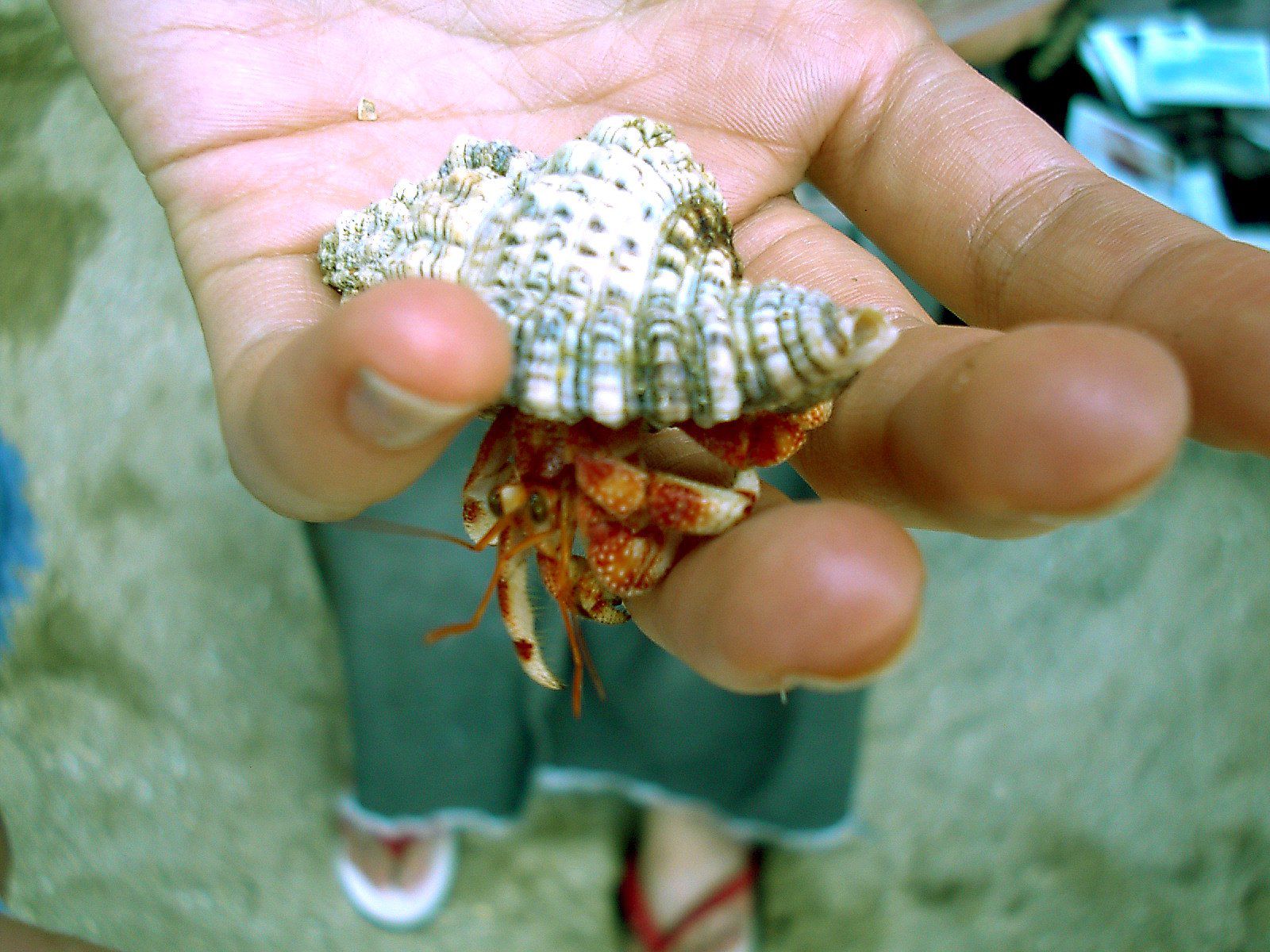 SF-No.084 Yuko Takeuchi 竹内結子-图17