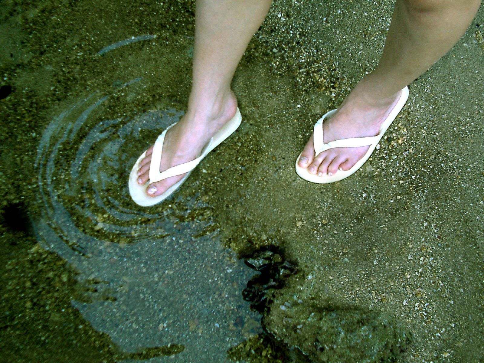 SF-No.084 Yuko Takeuchi 竹内結子-图22