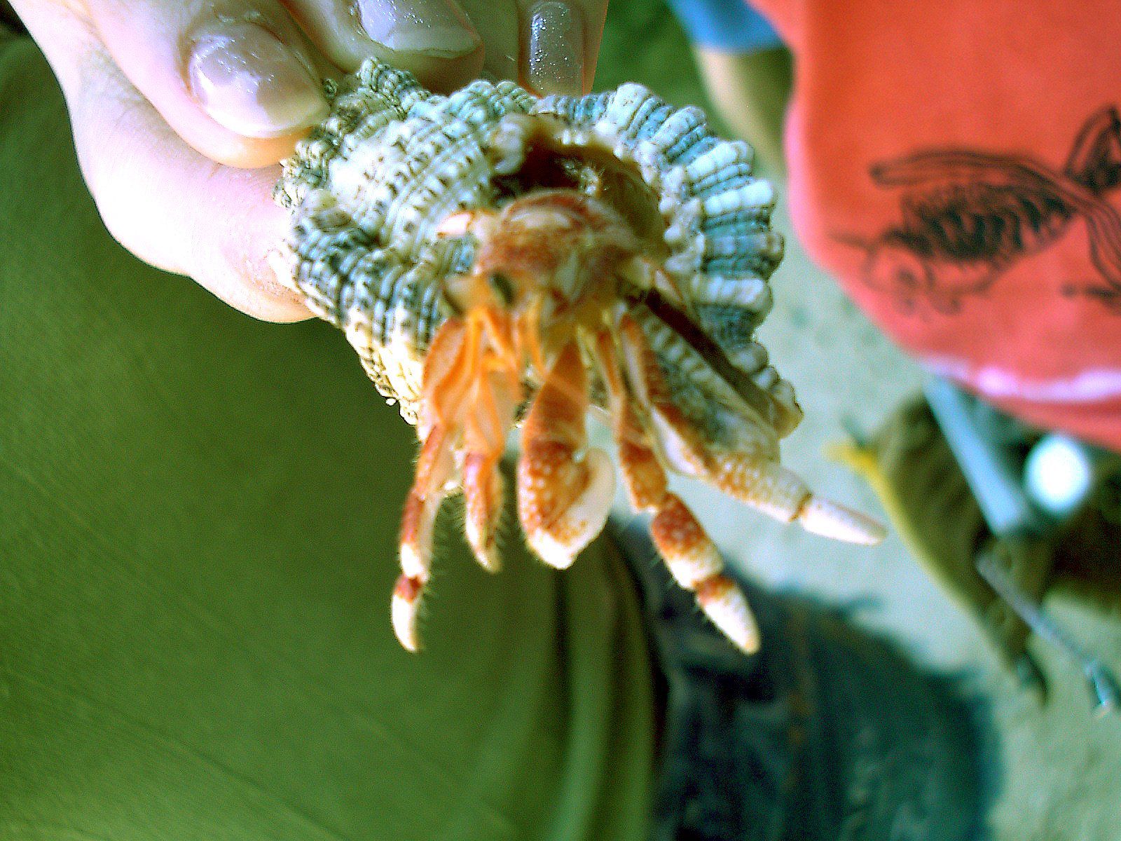 SF-No.084 Yuko Takeuchi 竹内結子-图26