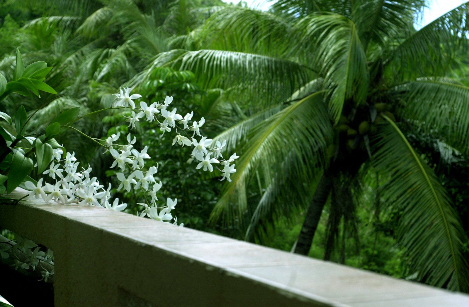 SF-No.084 Yuko Takeuchi 竹内結子-图27