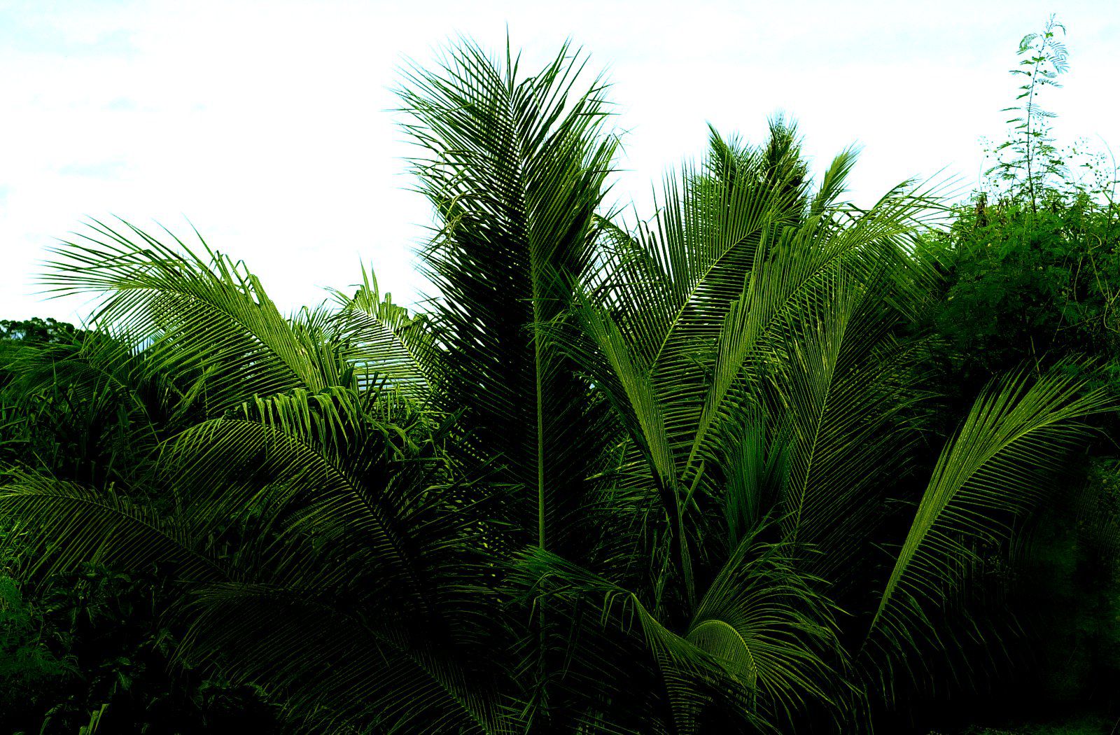 SF-No.084 Yuko Takeuchi 竹内結子-图28